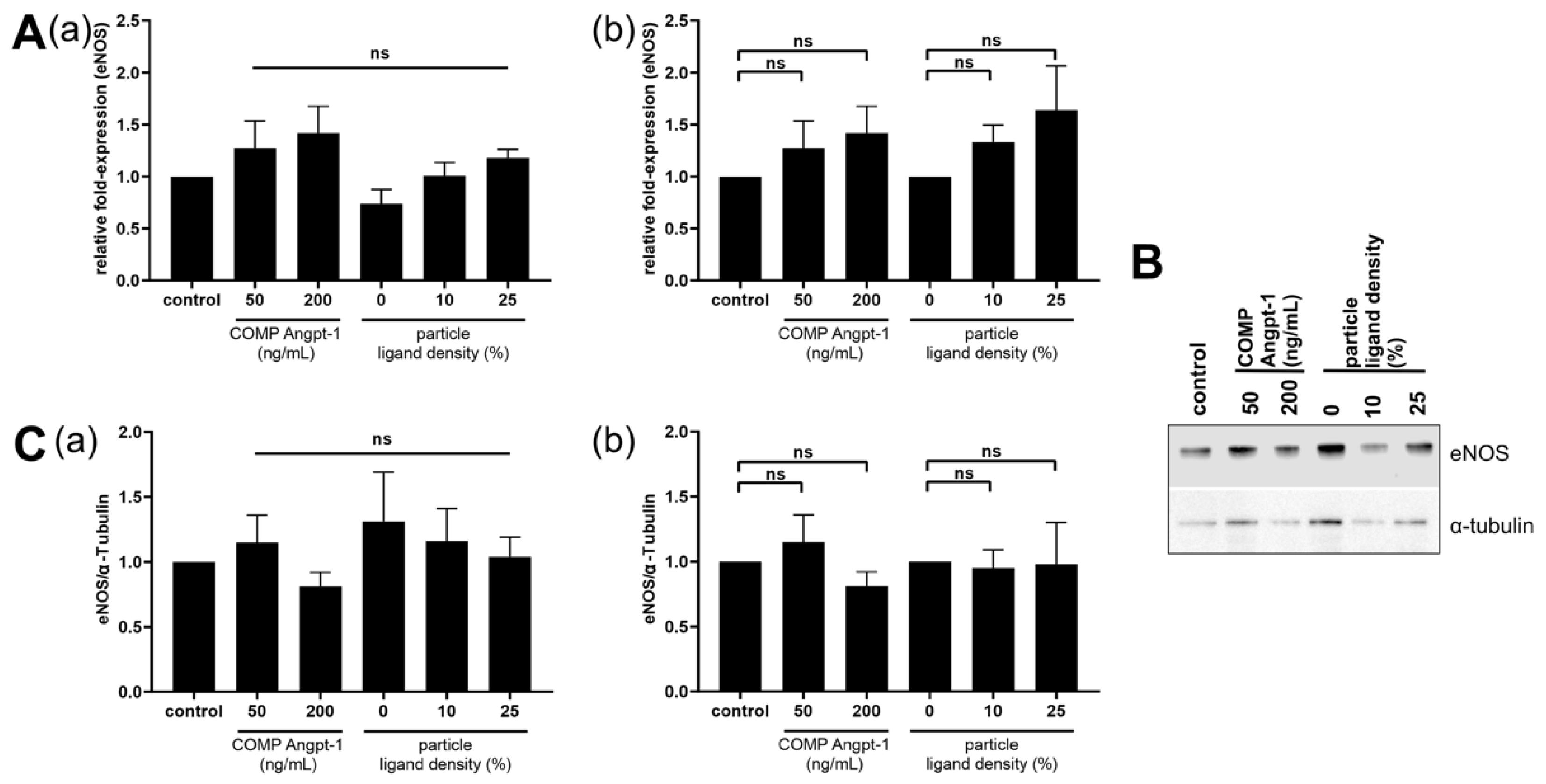 Pharmaceuticals 15 00018 g006