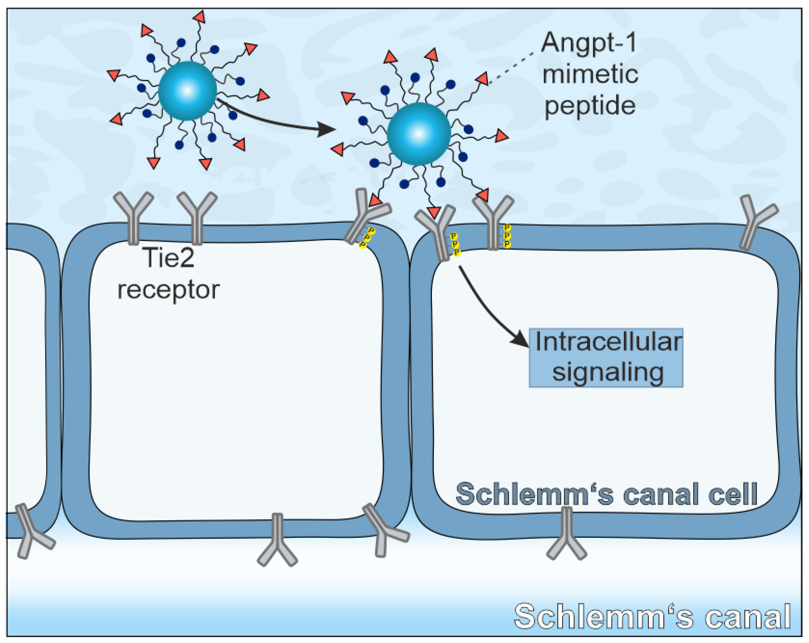 Pharmaceuticals 15 00018 sch001