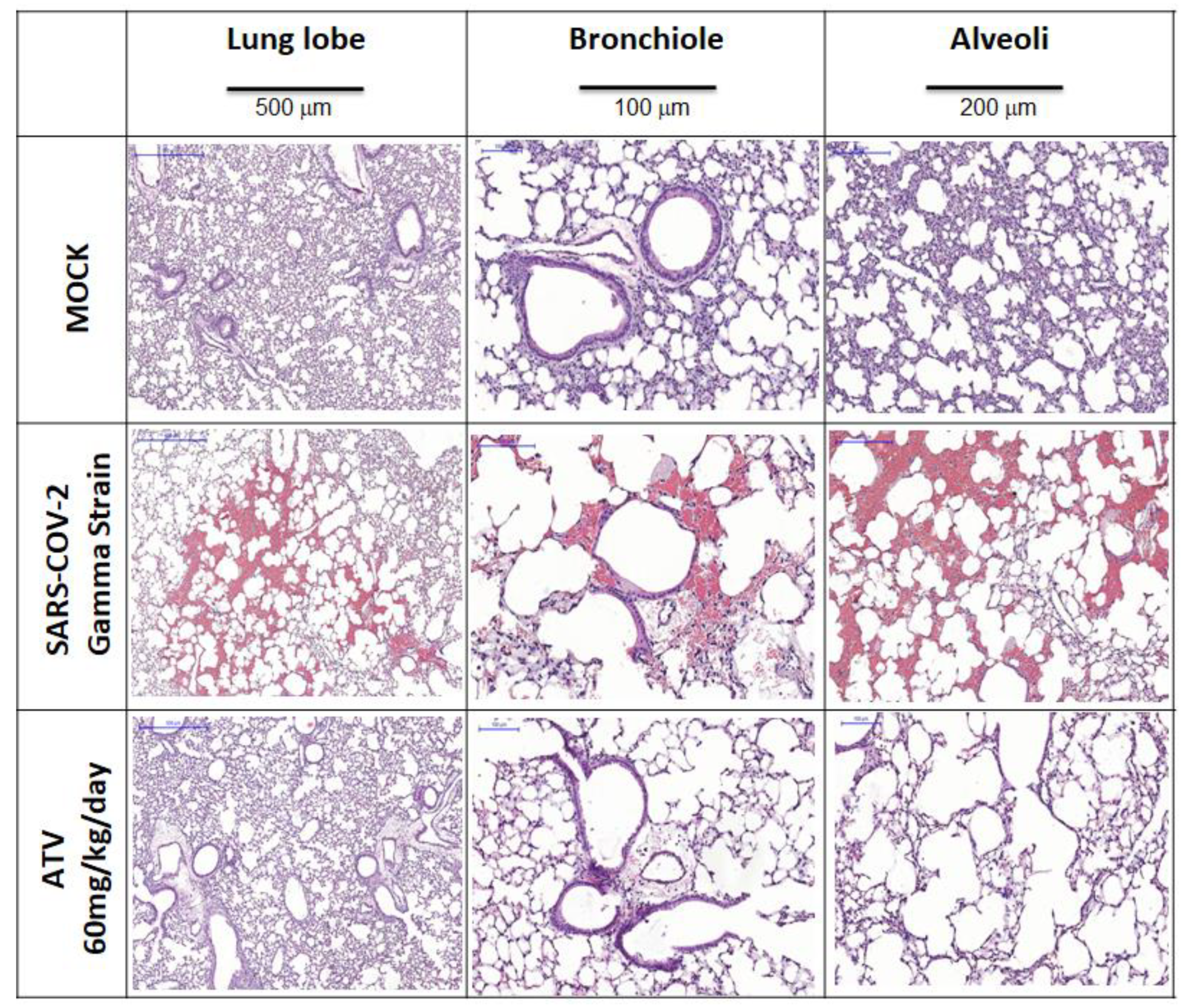 Pharmaceuticals 15 00021 g006 550