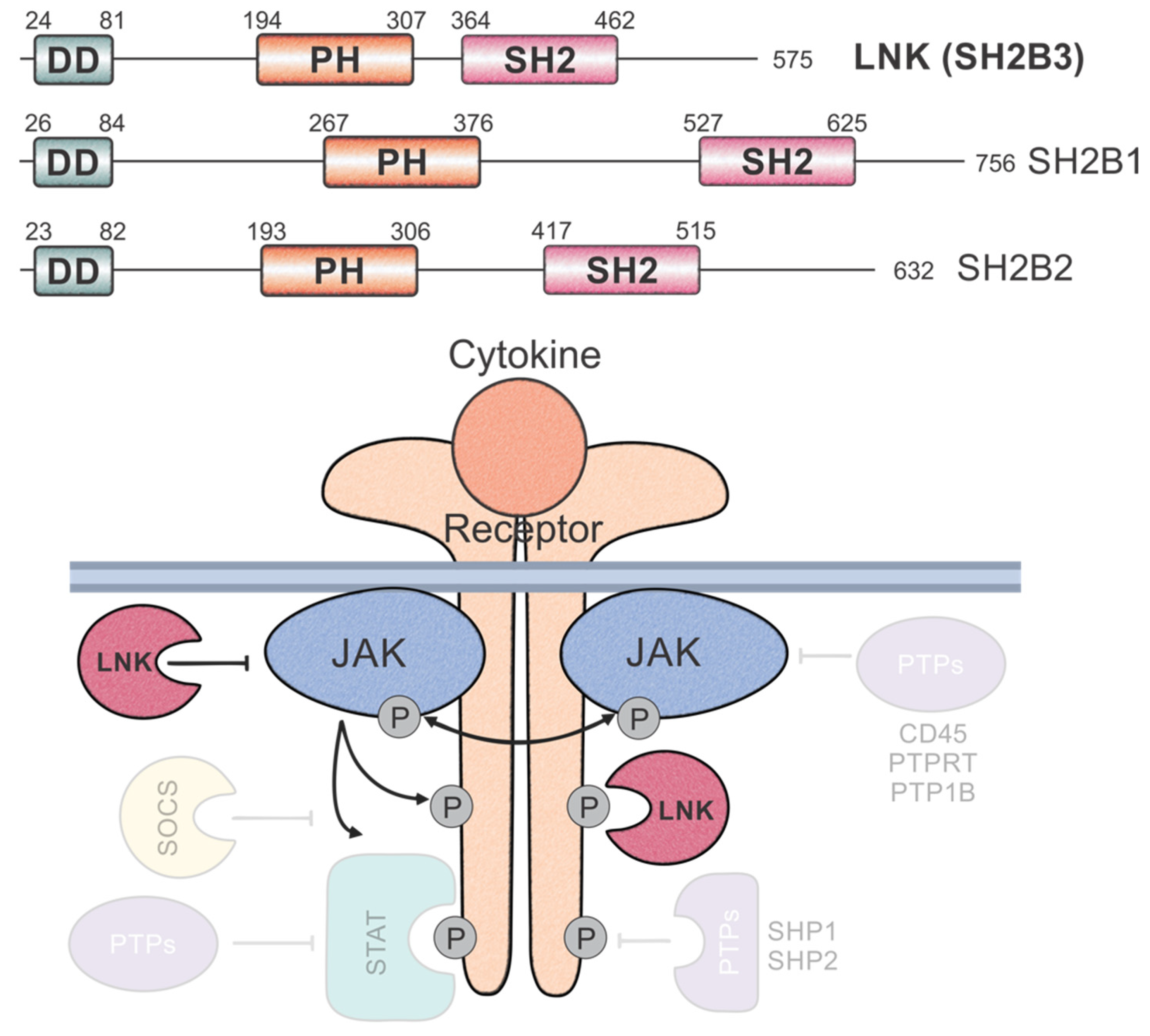 Pharmaceuticals 15 00024 g001