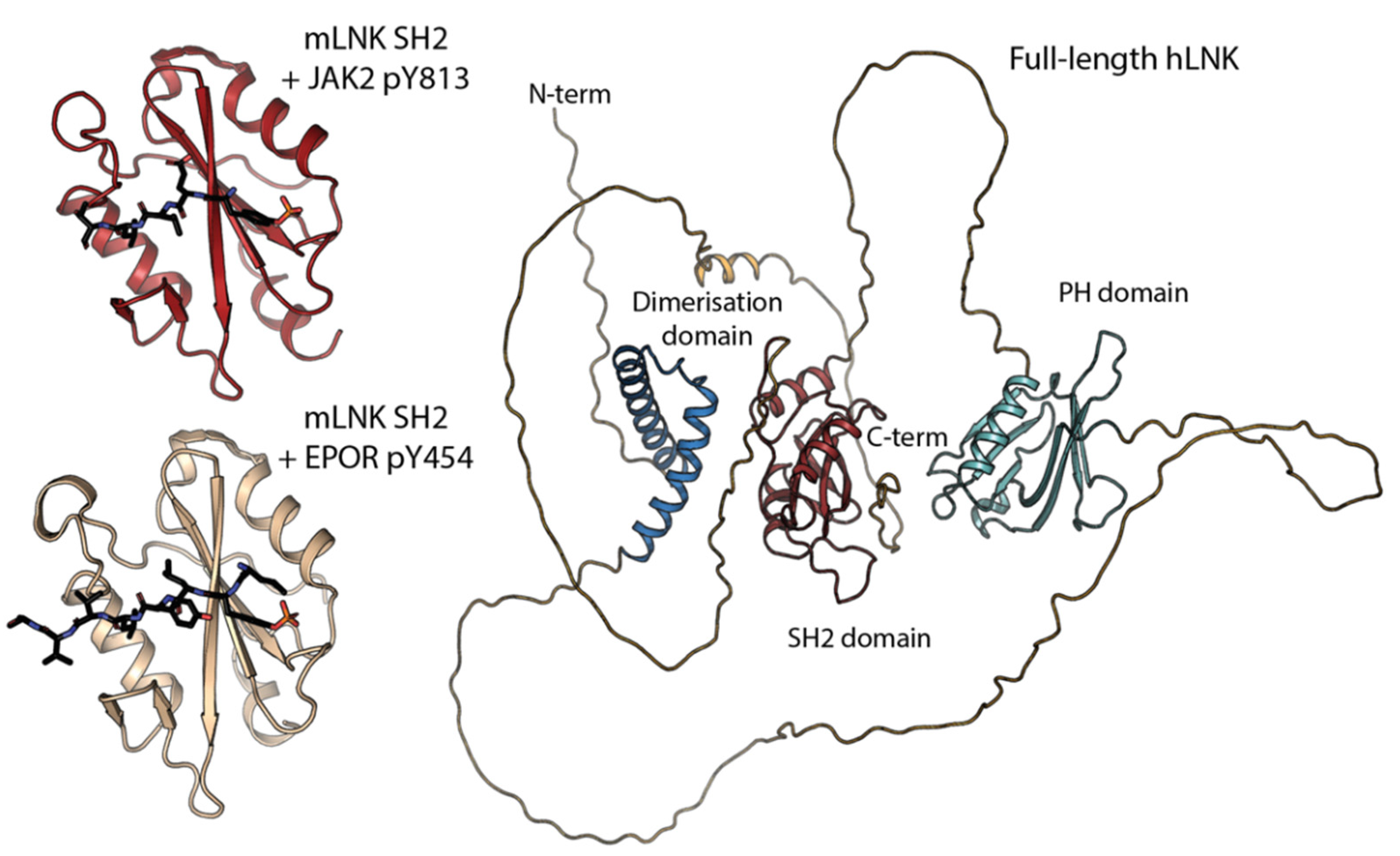 Pharmaceuticals 15 00024 g002