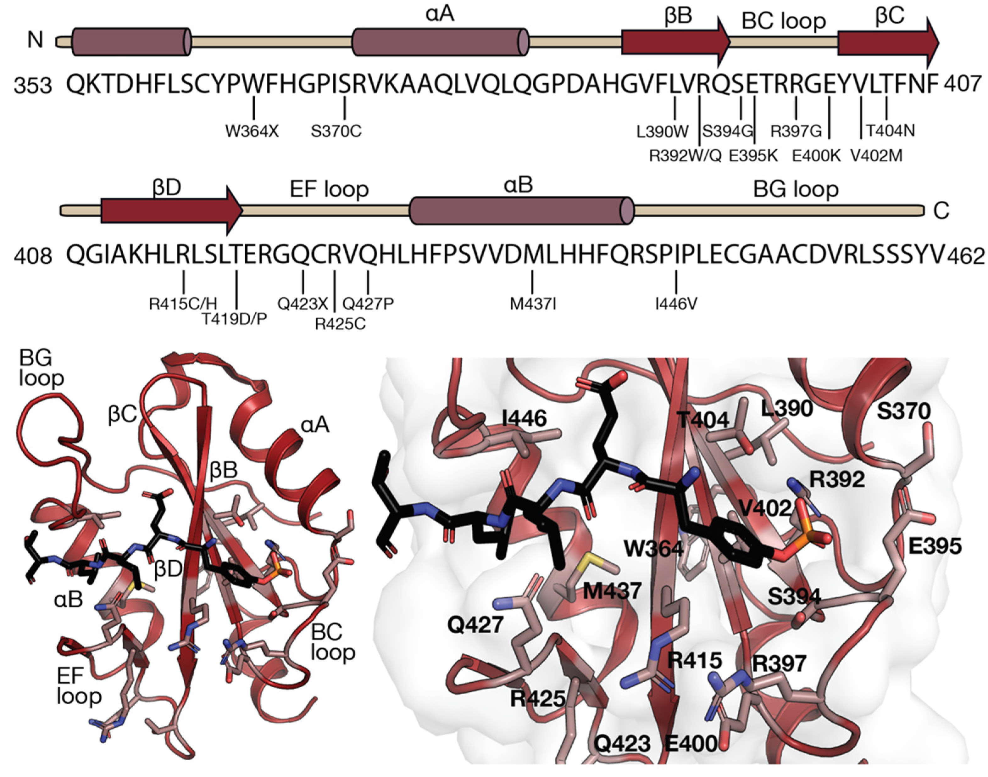 Pharmaceuticals 15 00024 g003