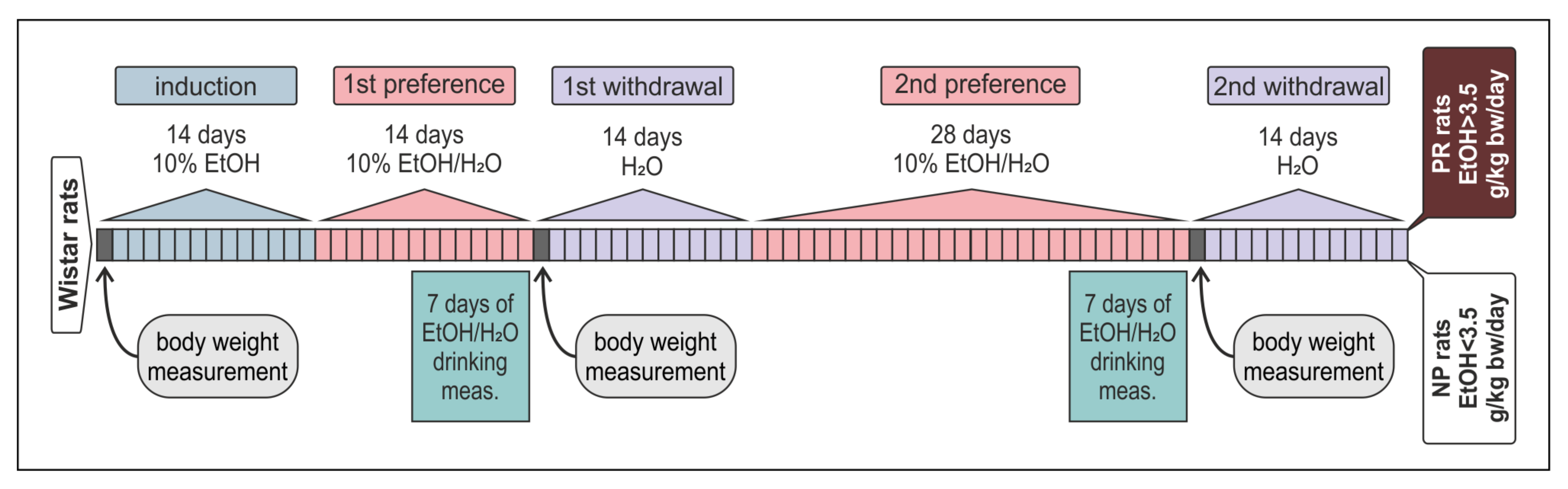 Pharmaceuticals 15 00025 sch001