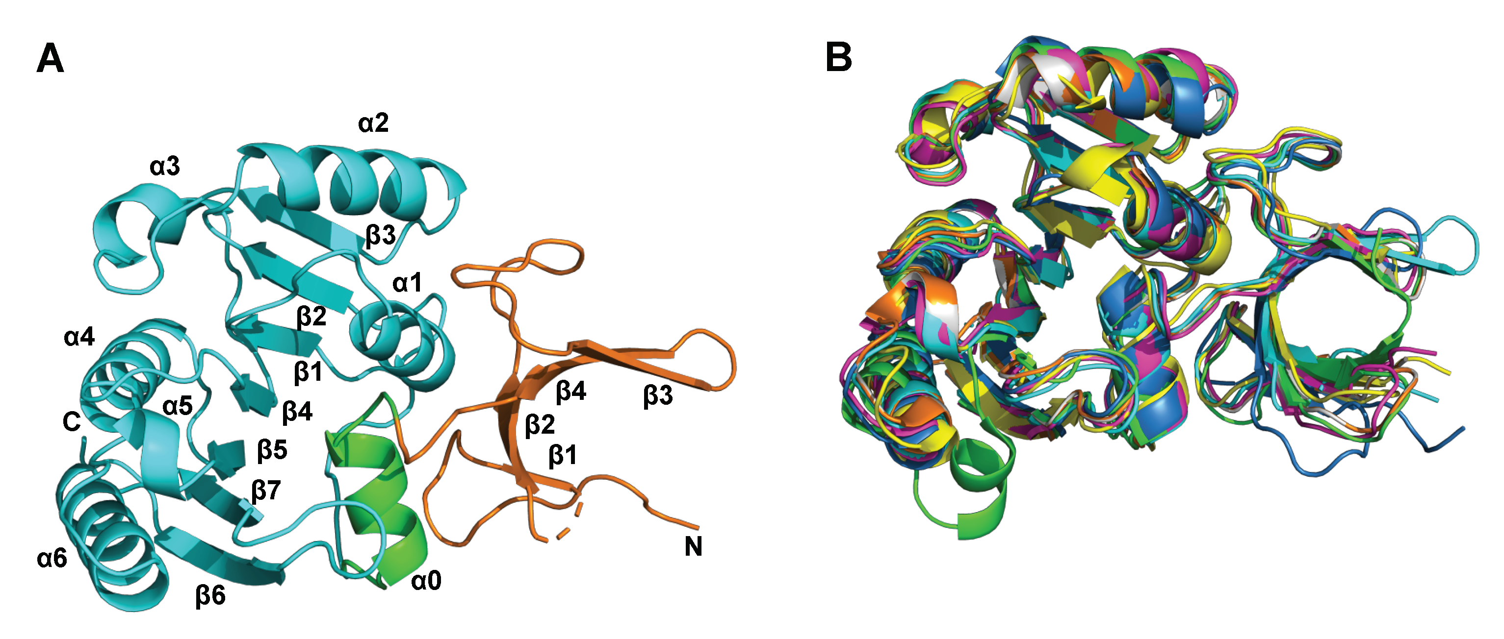 Pharmaceuticals 15 00026 g001