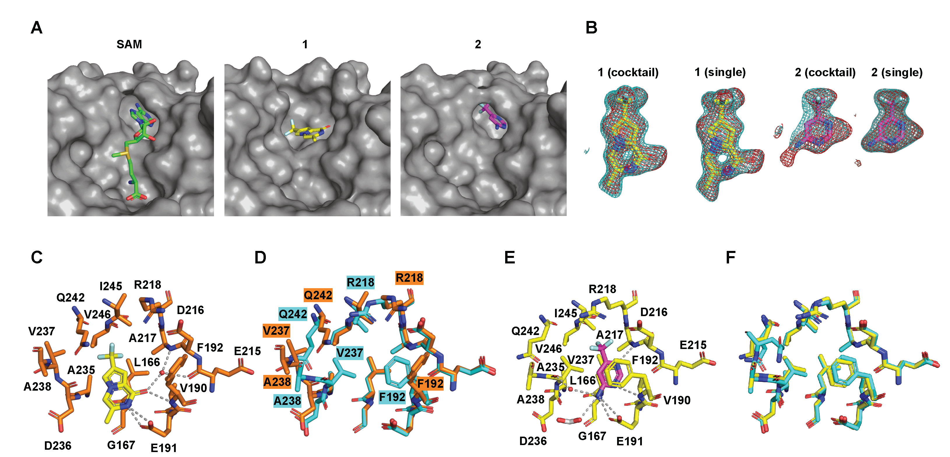 Pharmaceuticals 15 00026 g003