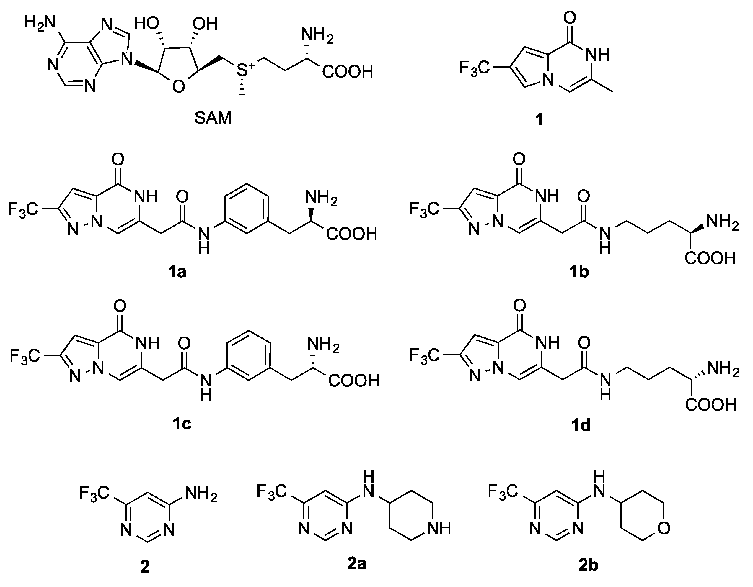 Pharmaceuticals 15 00026 g004
