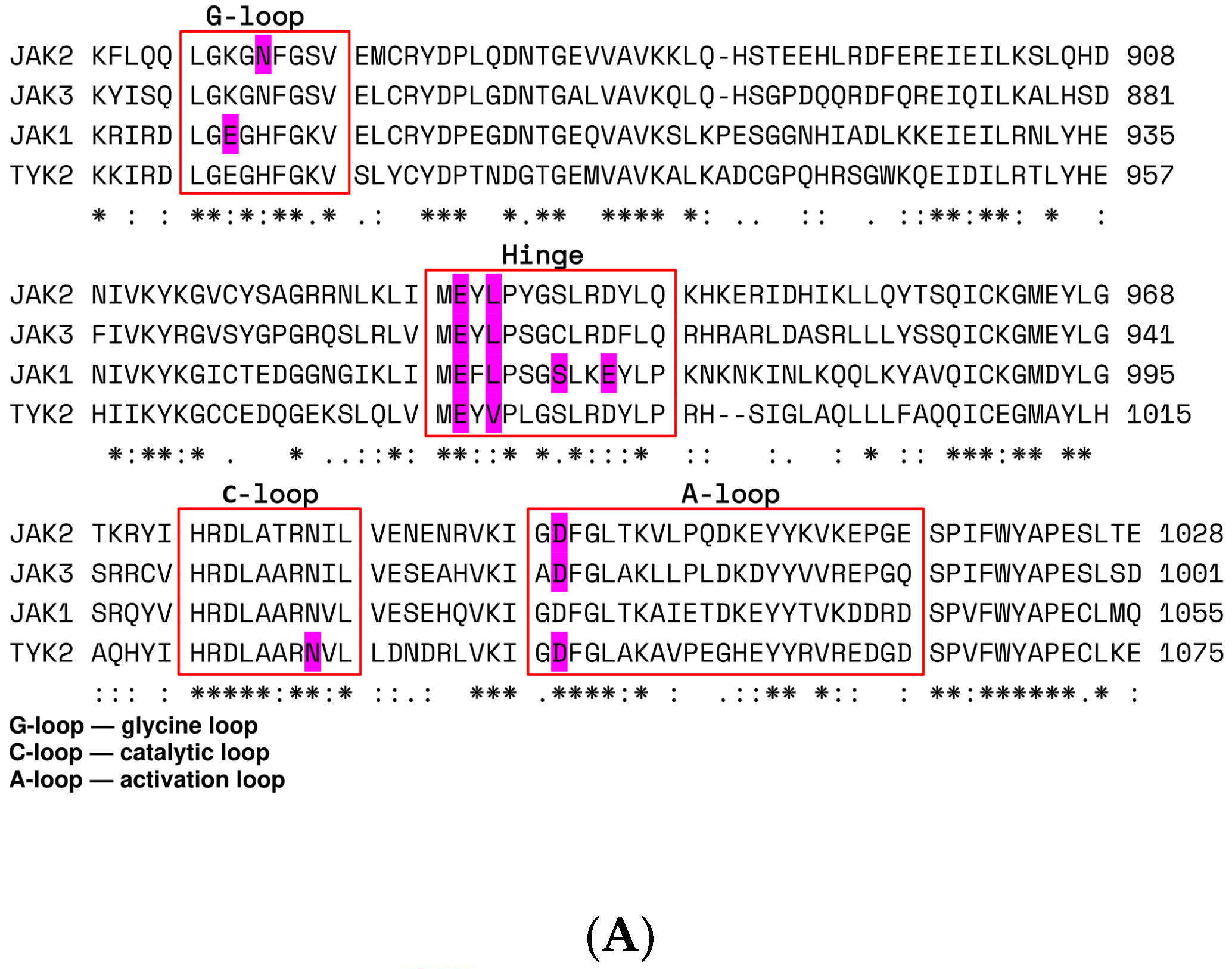 Pharmaceuticals 15 00030 g001a