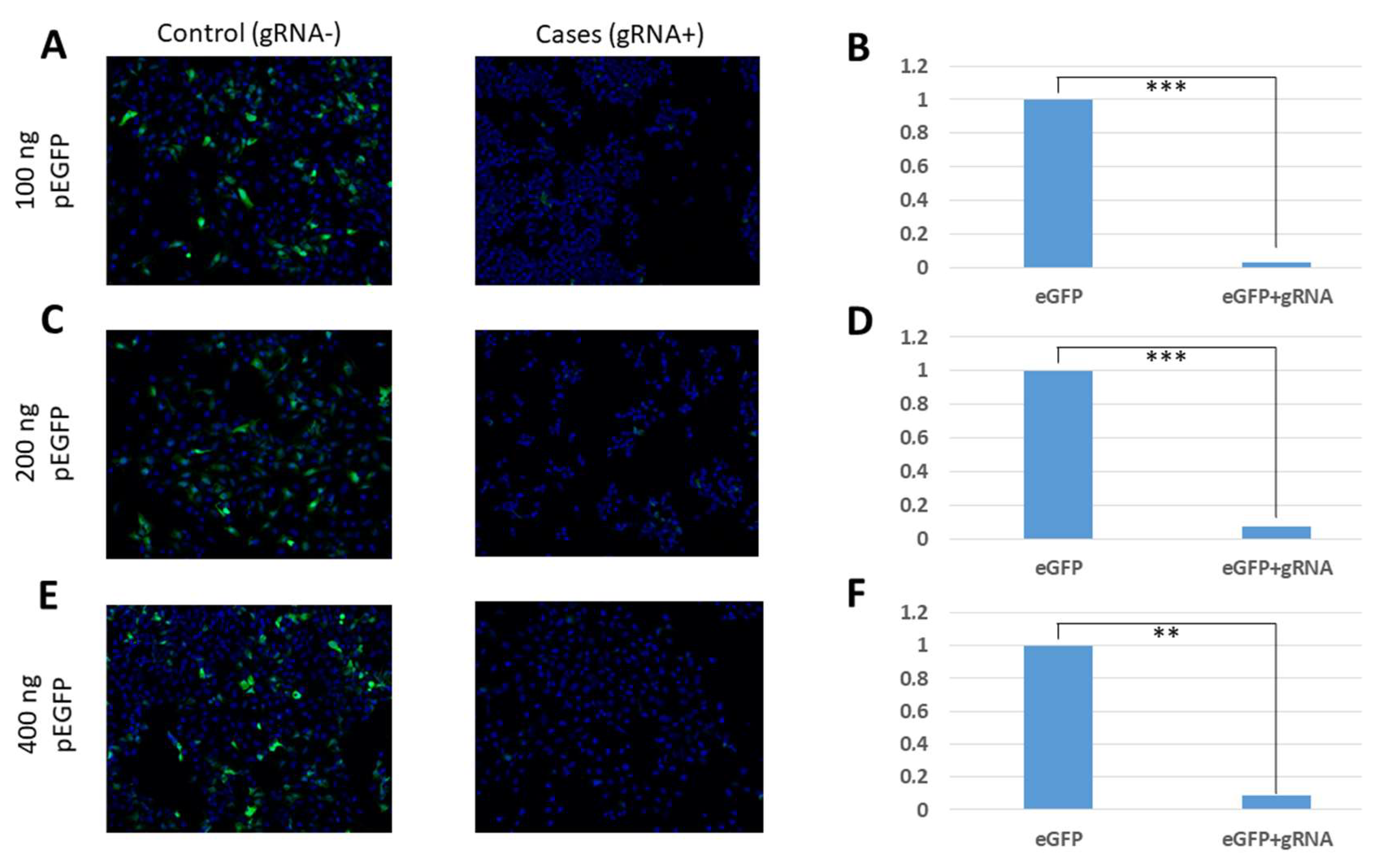 Pharmaceuticals 15 00032 g002 550