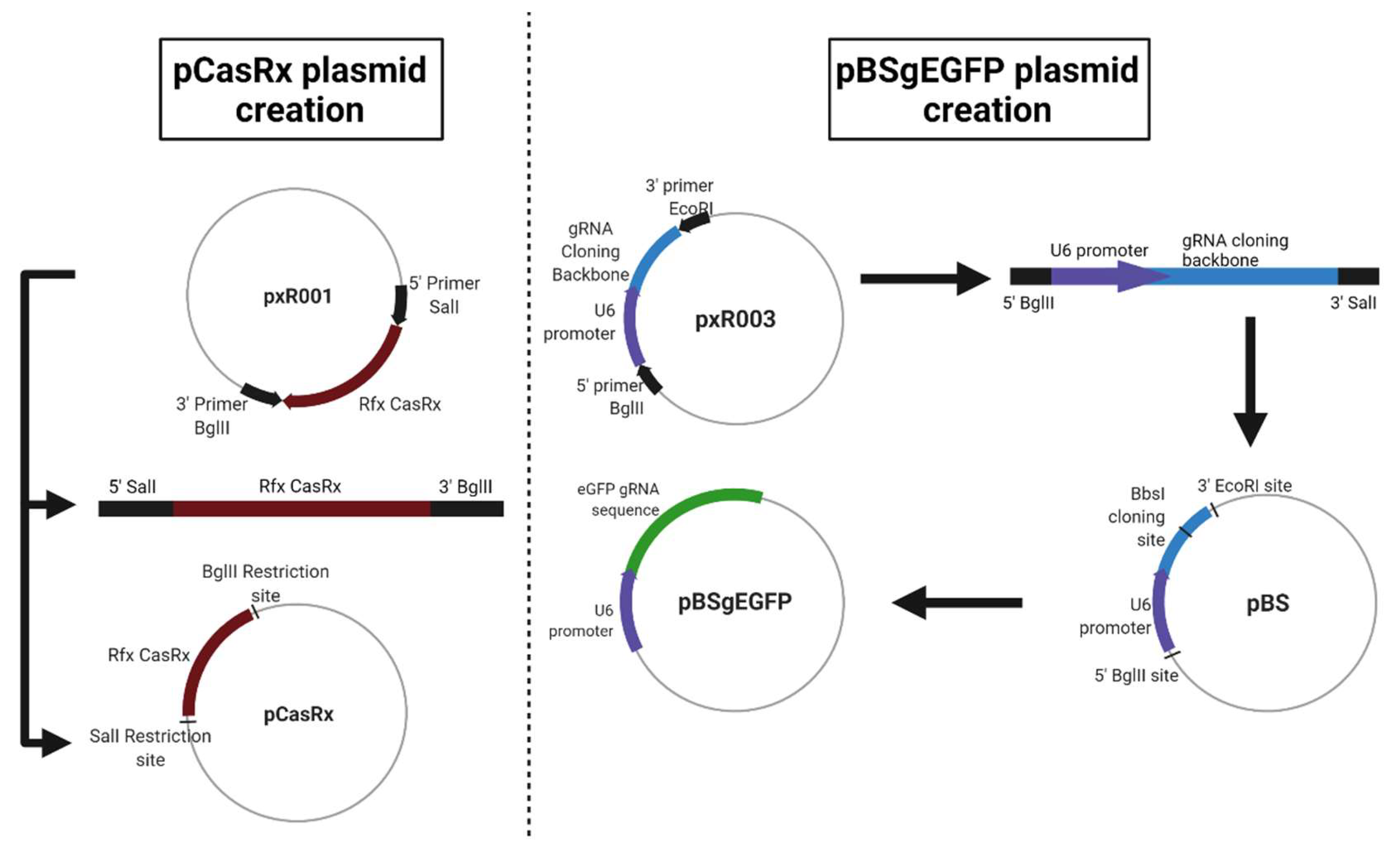 Pharmaceuticals 15 00032 g005 550