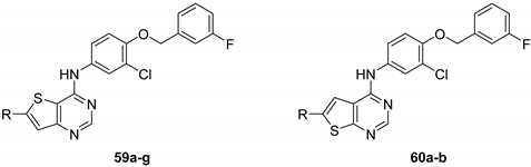 Pharmaceuticals 15 00035 i056 Pharmaceuticals 15 00035 i056