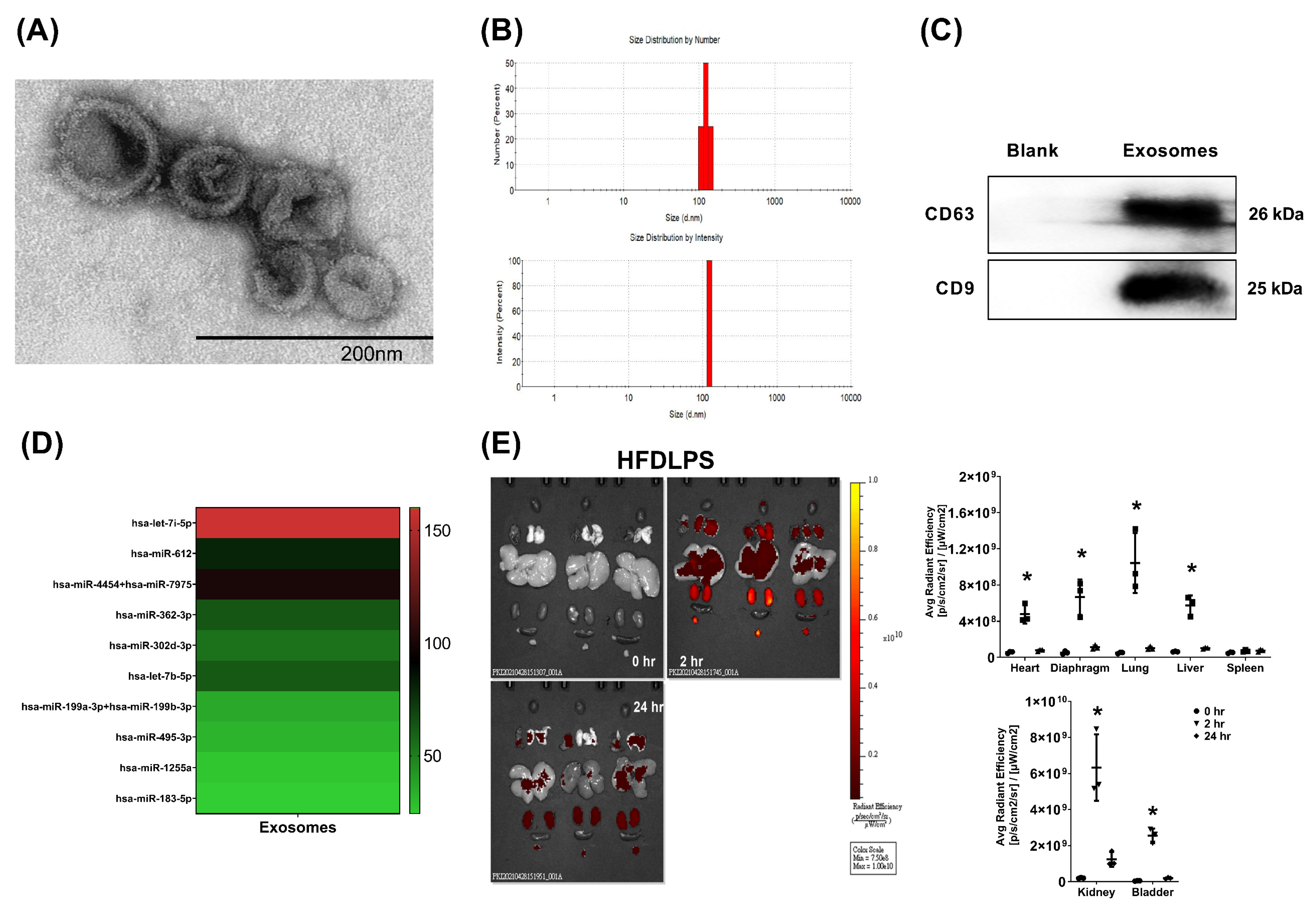 Pharmaceuticals 15 00036 g001