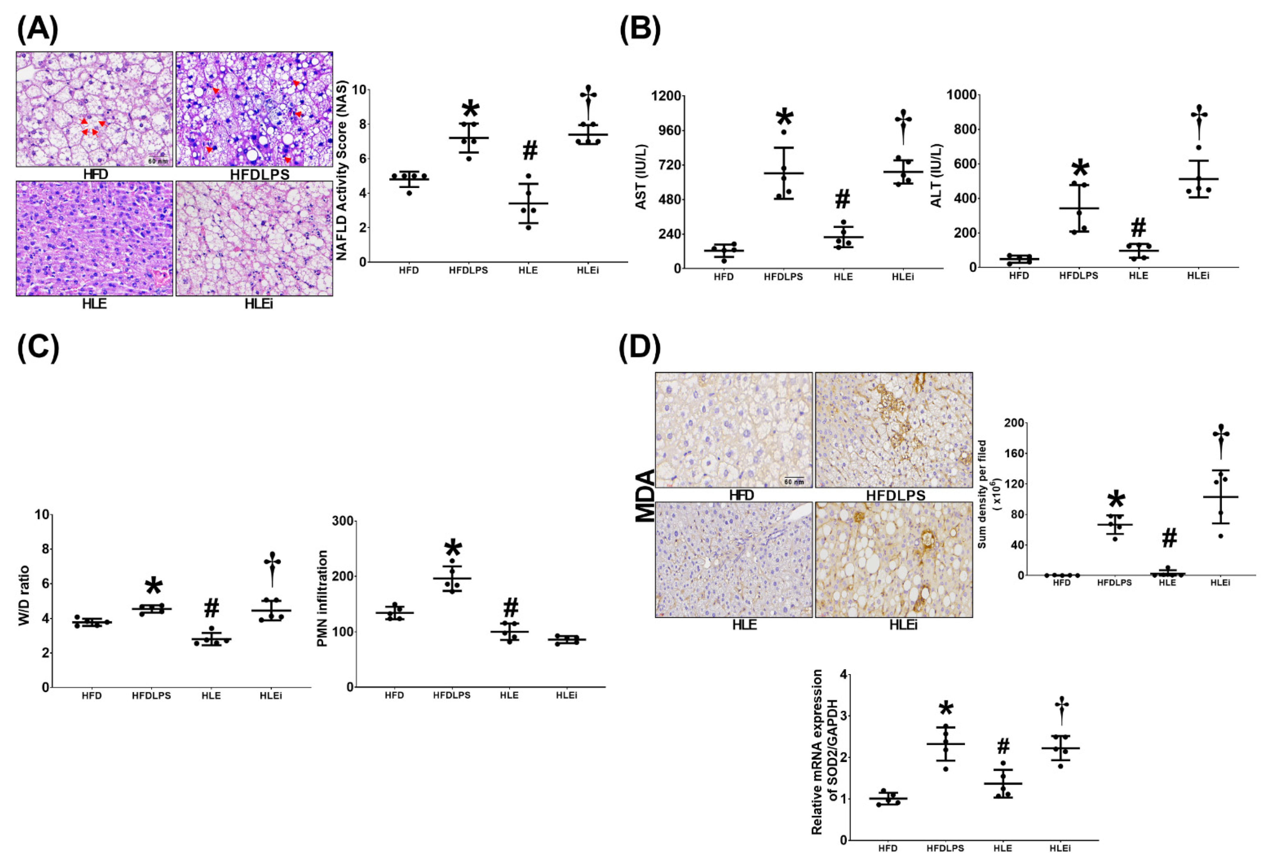 Pharmaceuticals 15 00036 g003