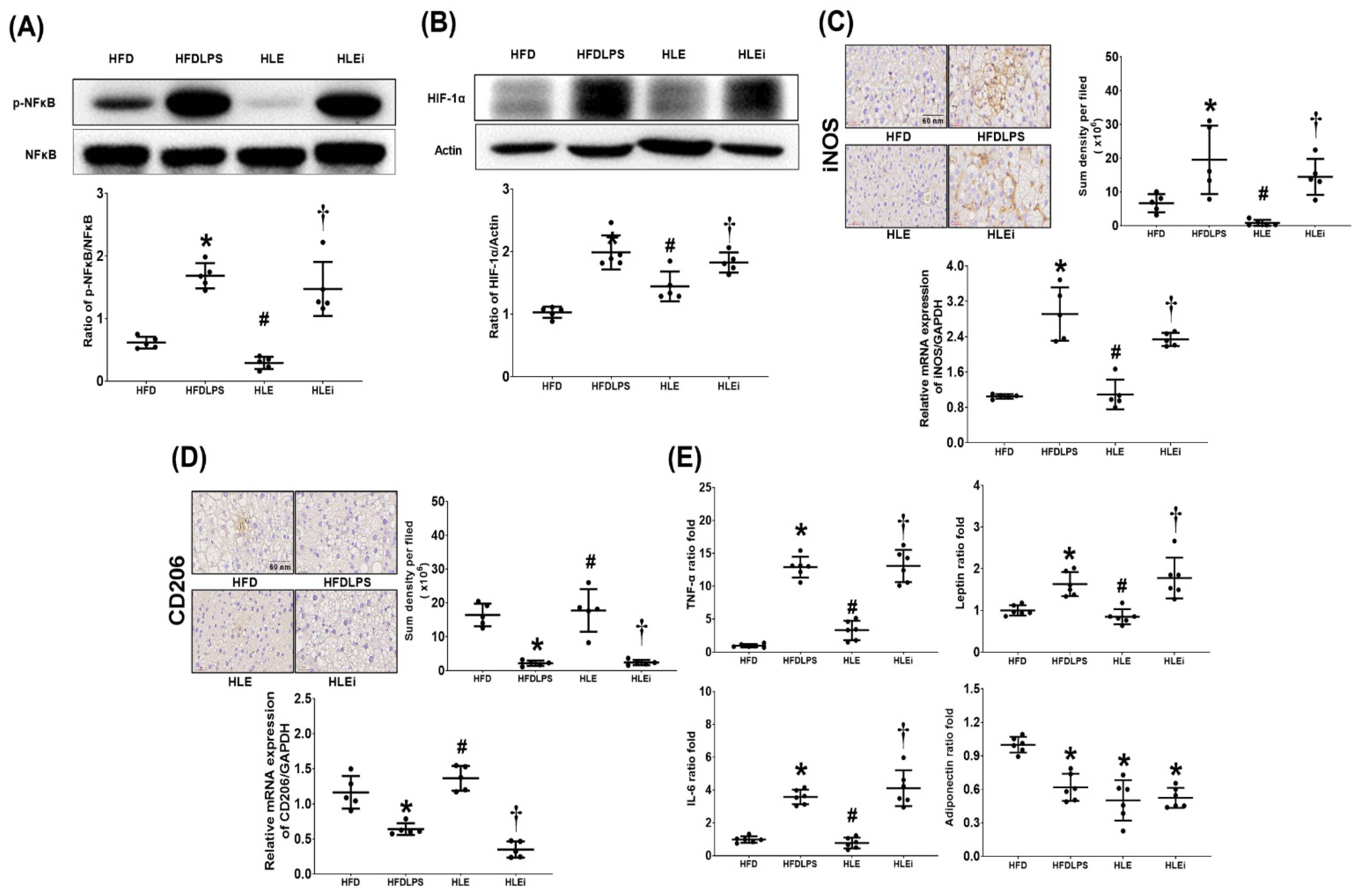 Pharmaceuticals 15 00036 g004