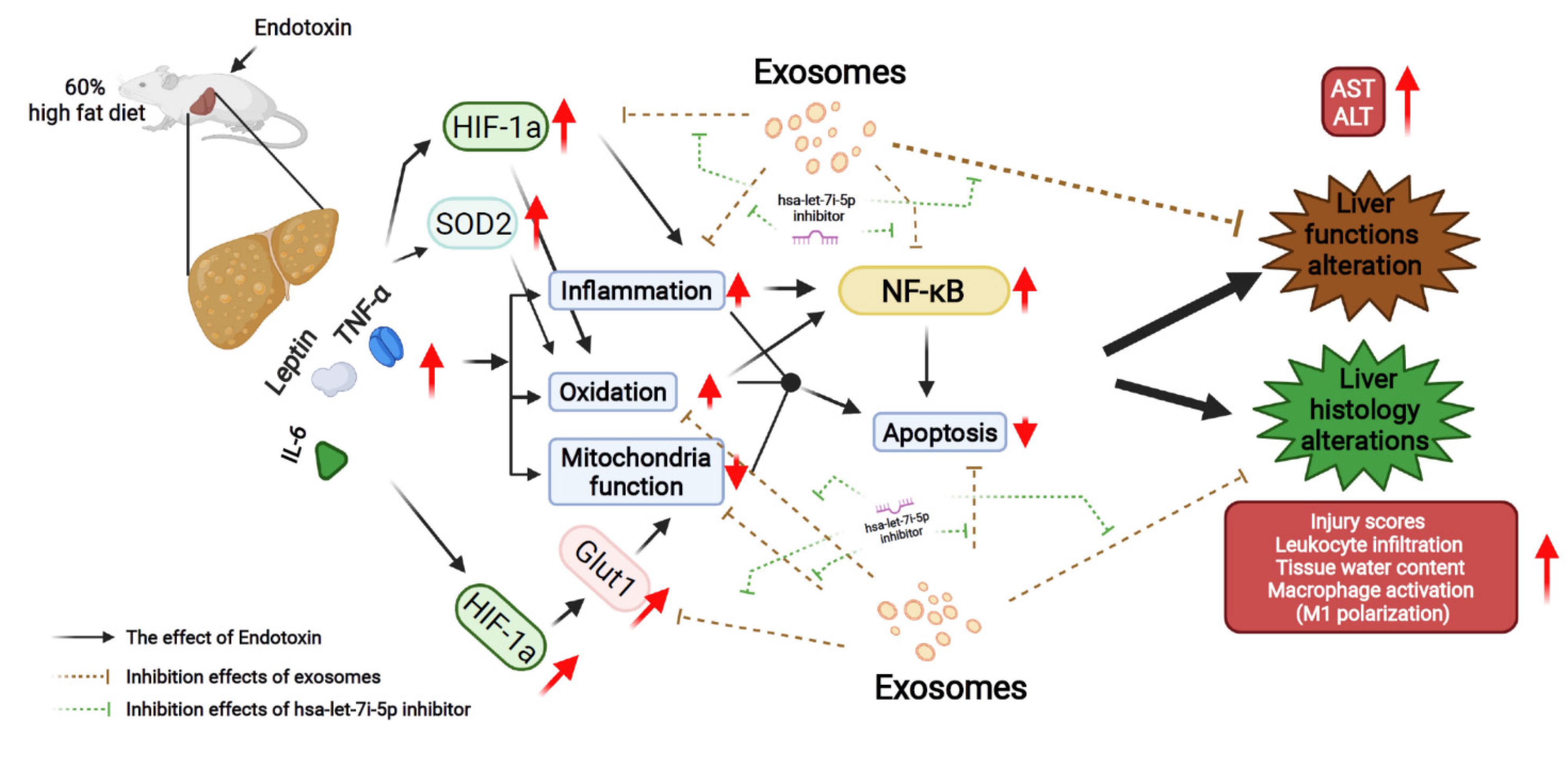 Pharmaceuticals 15 00036 g007