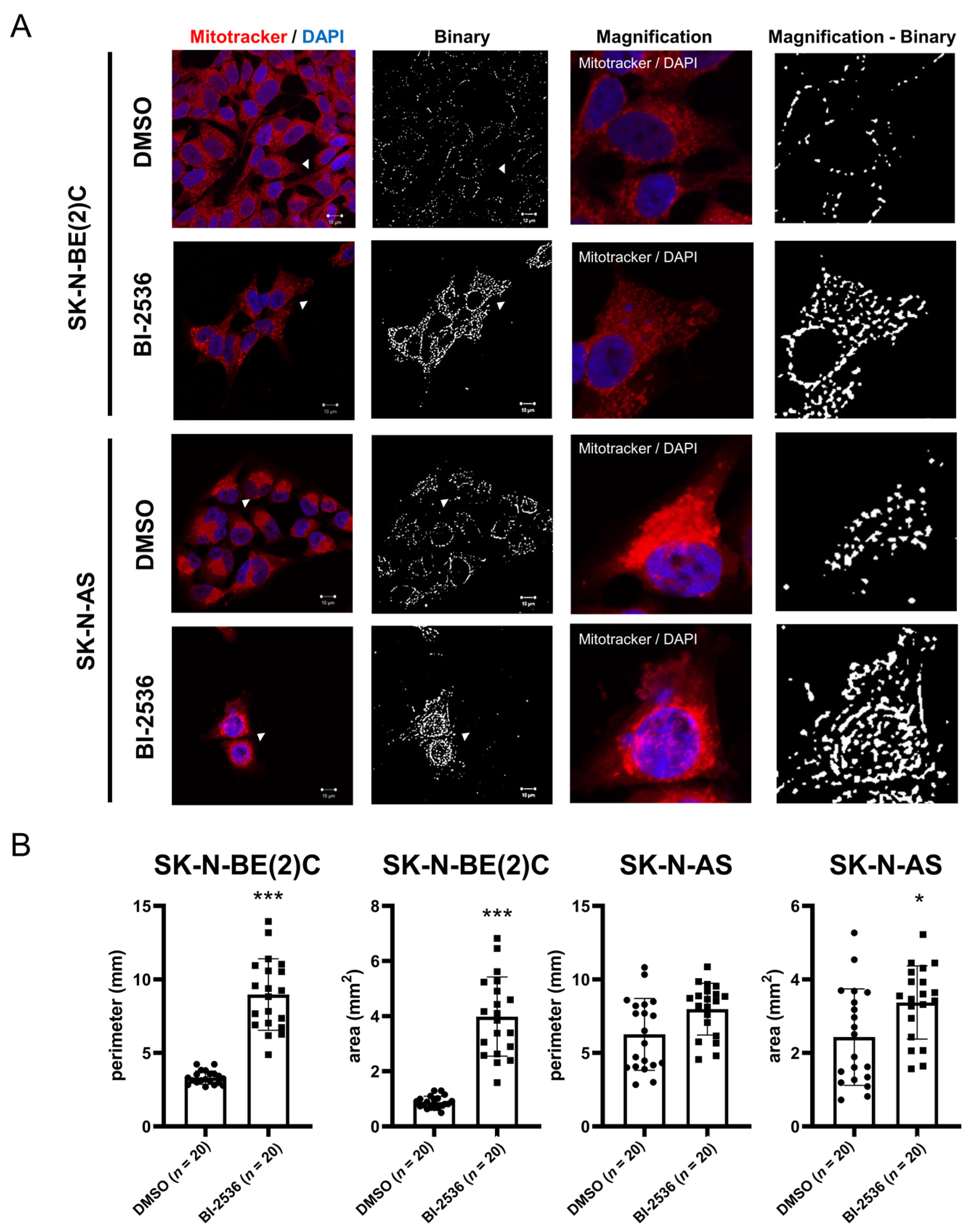 Pharmaceuticals 15 00037 g006