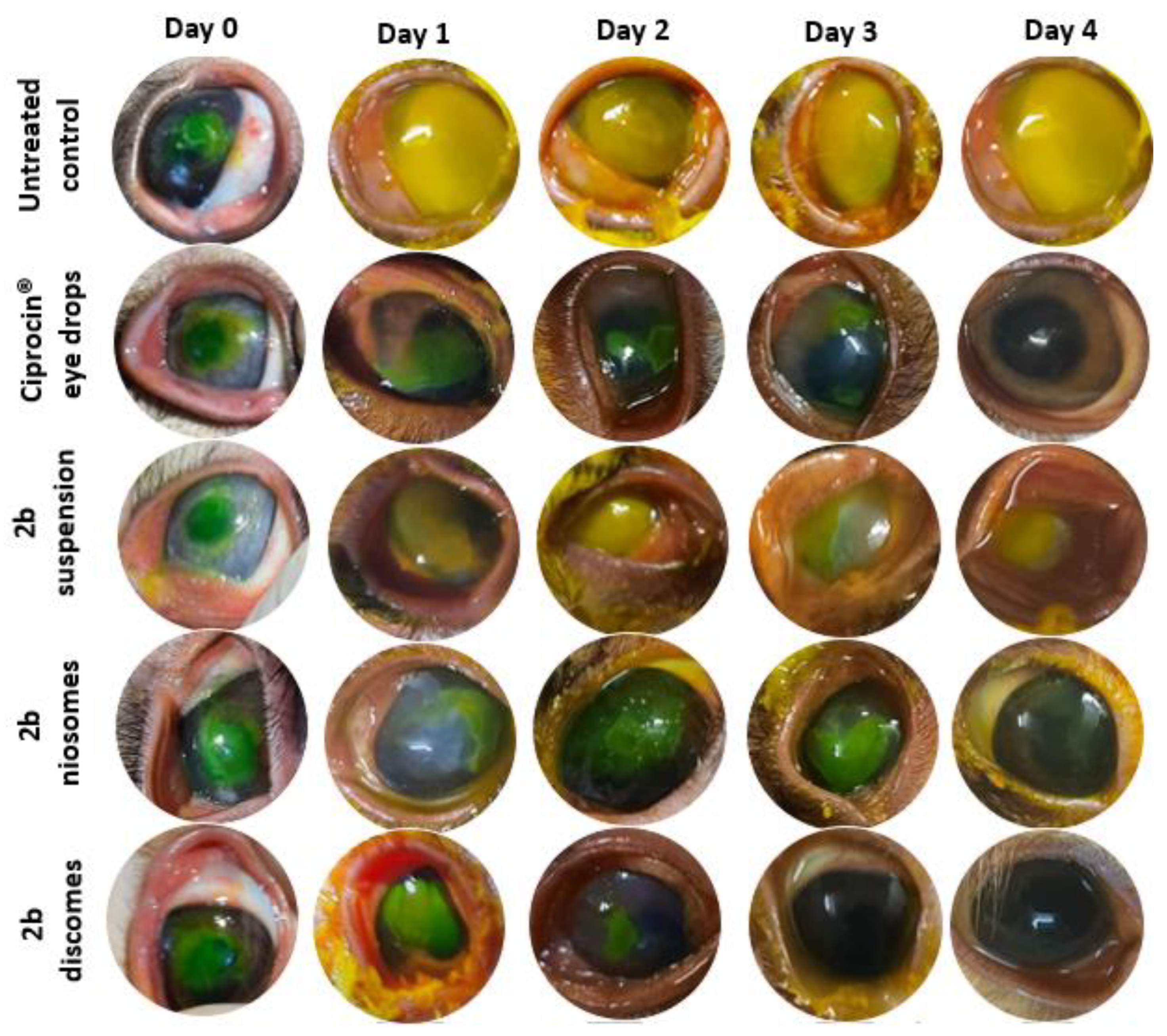 Pharmaceuticals 15 00044 g005 550