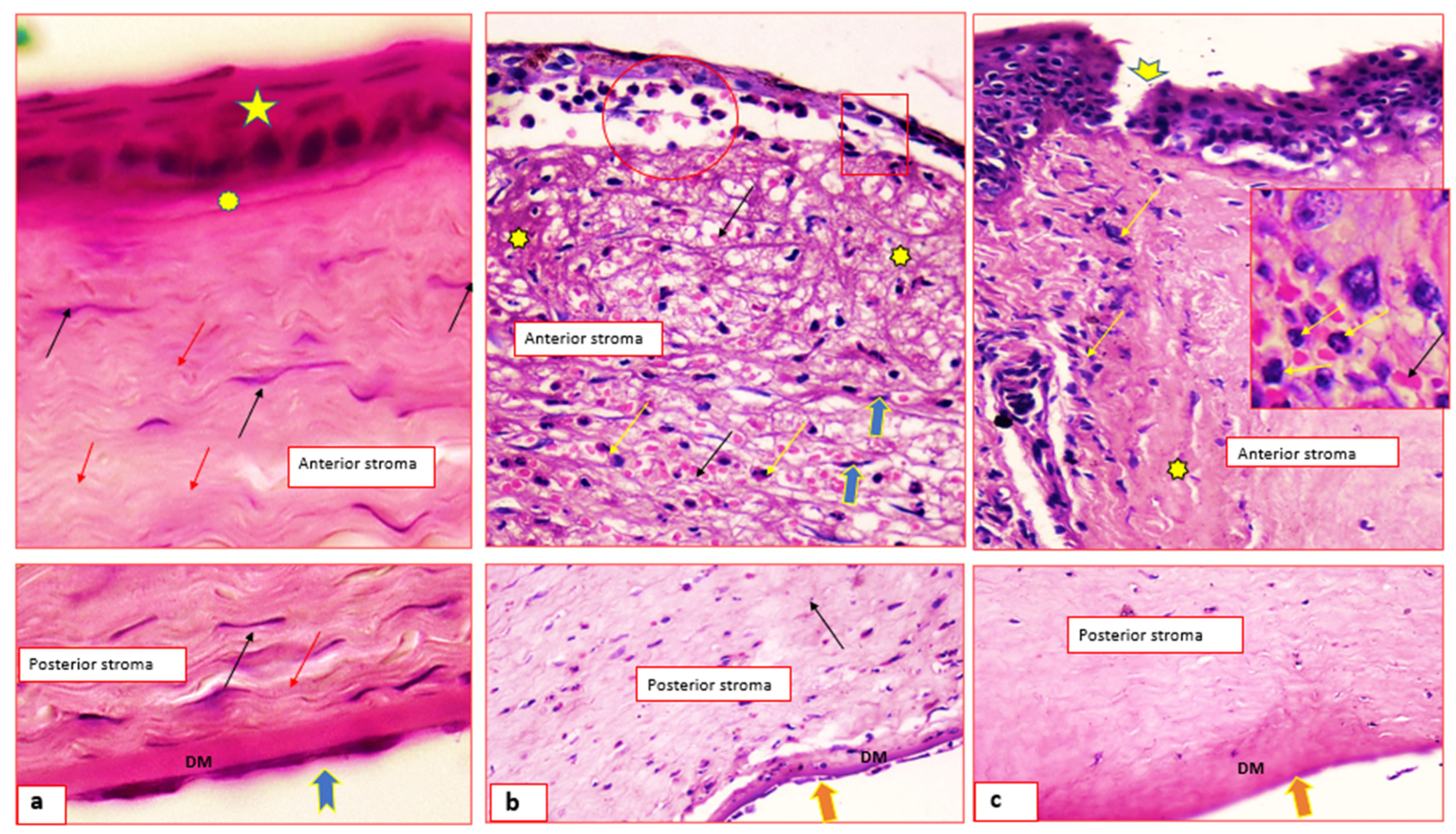 Pharmaceuticals 15 00044 g006 550