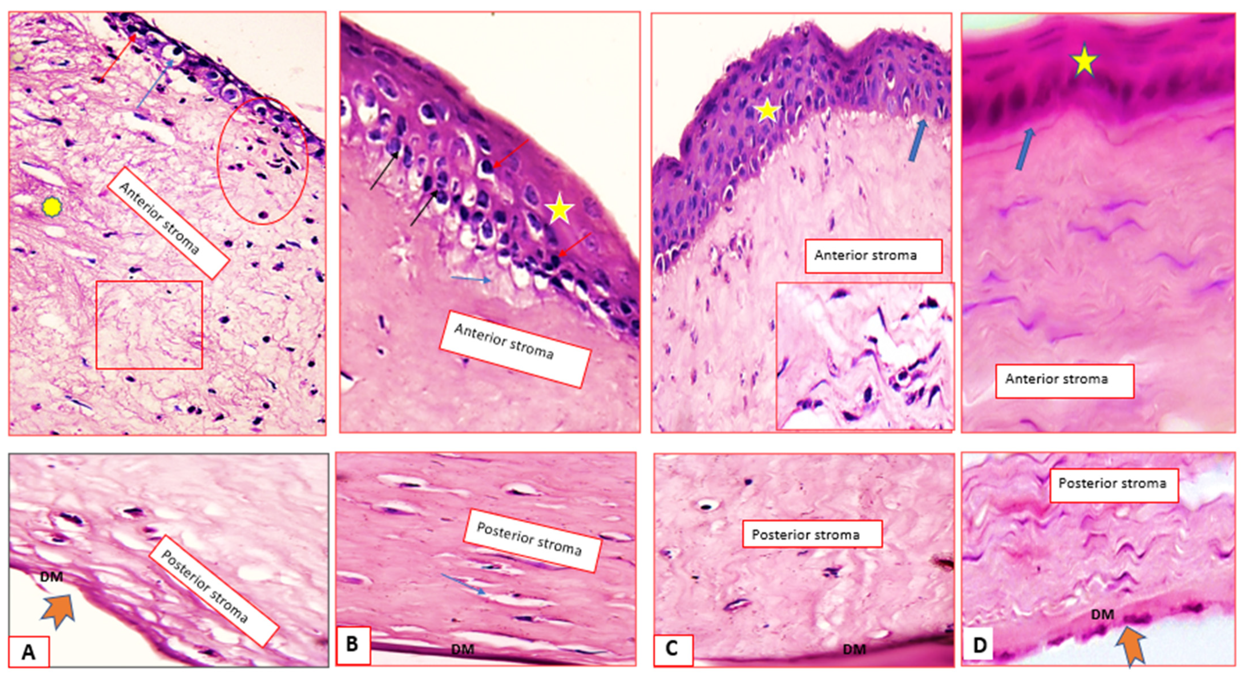 Pharmaceuticals 15 00044 g007 550