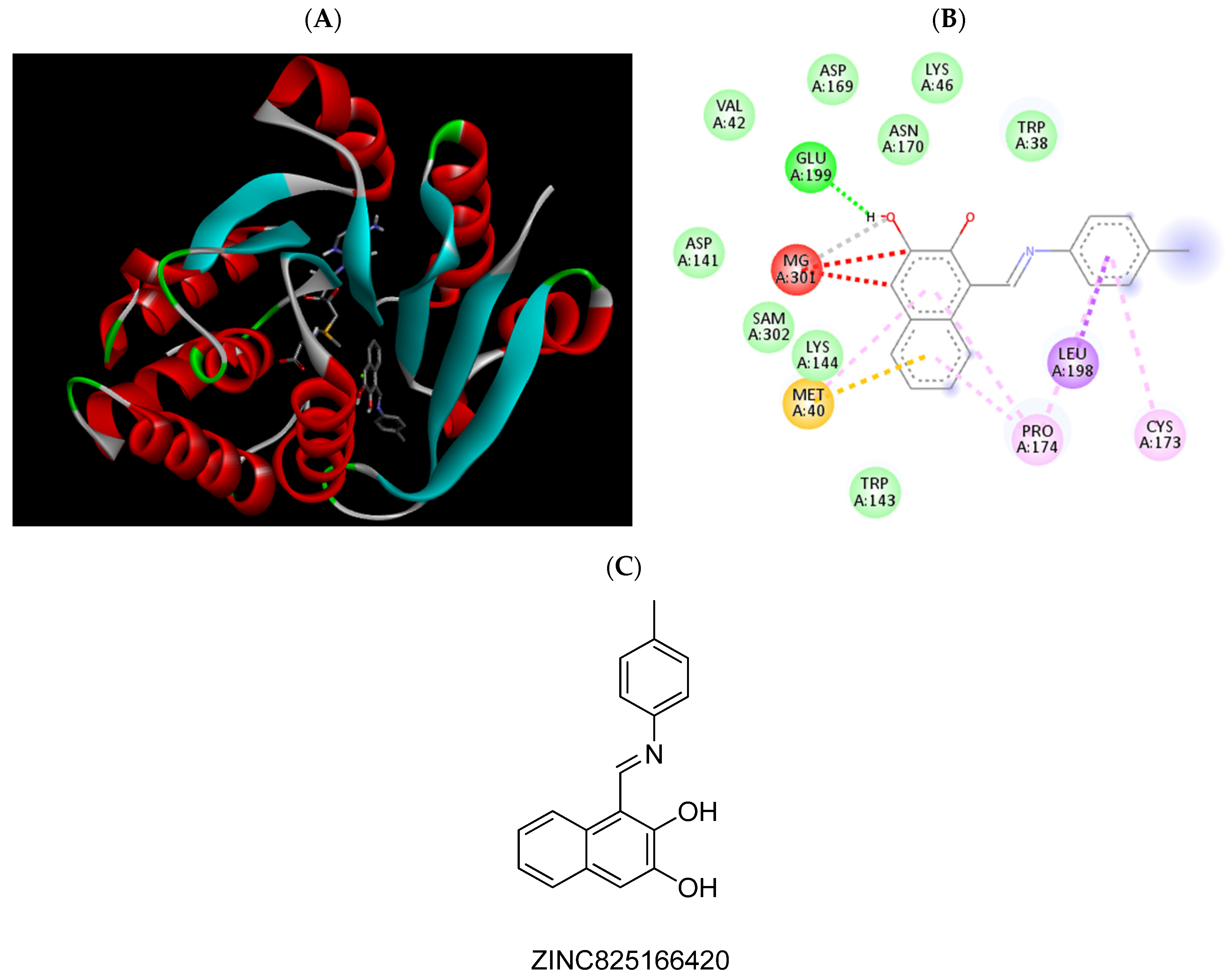 Pharmaceuticals 15 00051 g003 Pharmaceuticals 15 00051 g003