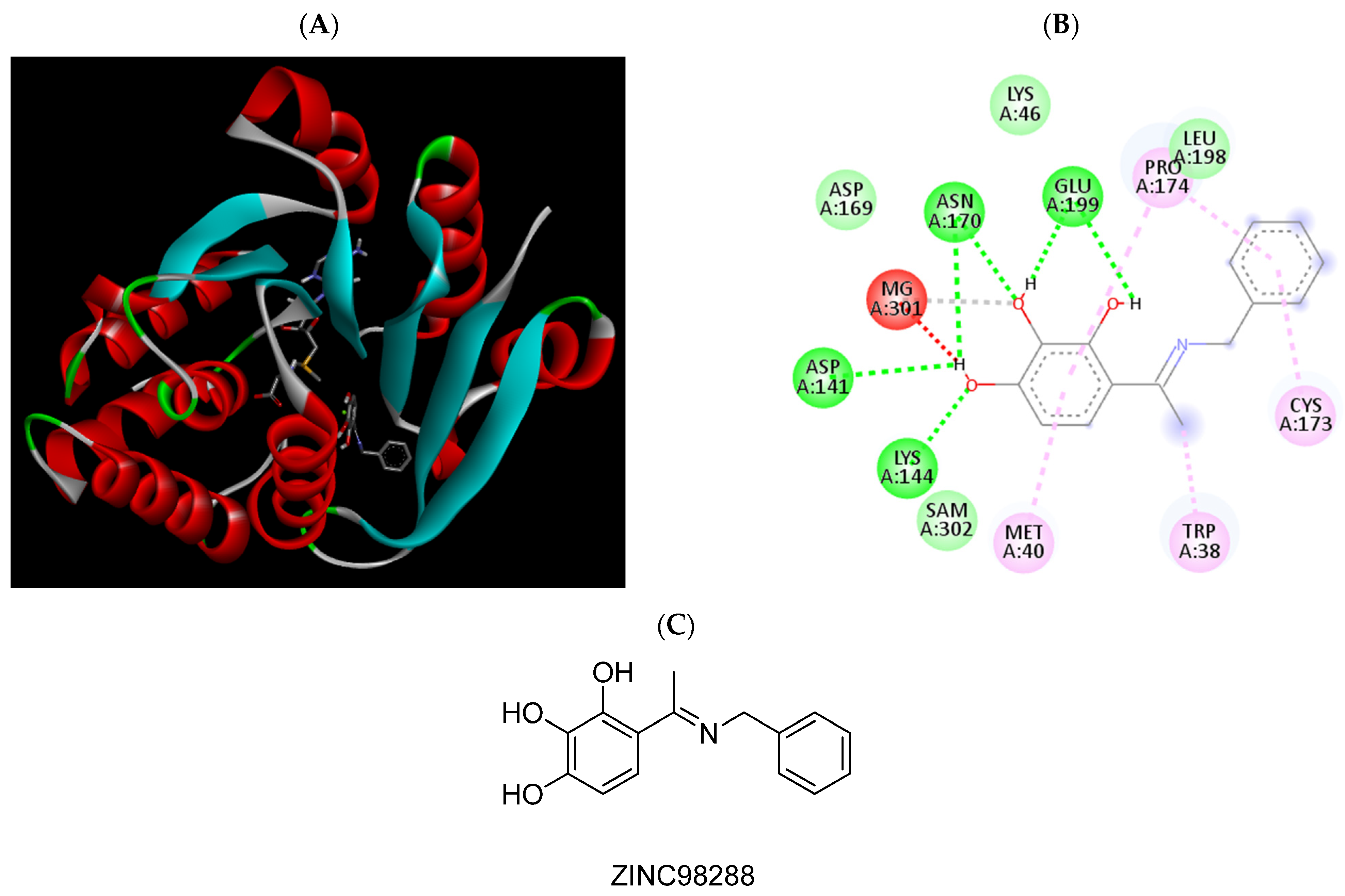 Pharmaceuticals 15 00051 g005 Pharmaceuticals 15 00051 g005