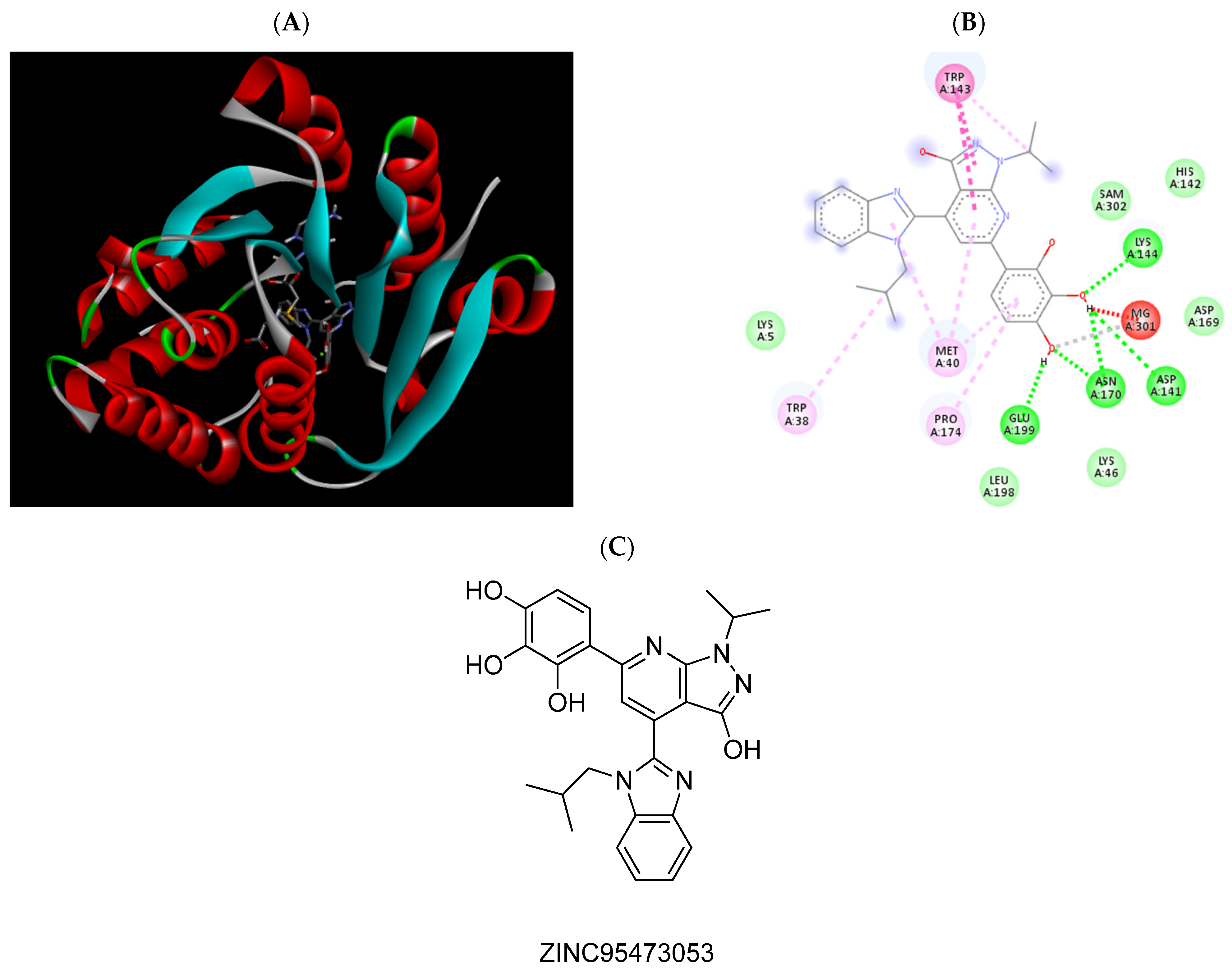 Pharmaceuticals 15 00051 g006 Pharmaceuticals 15 00051 g006