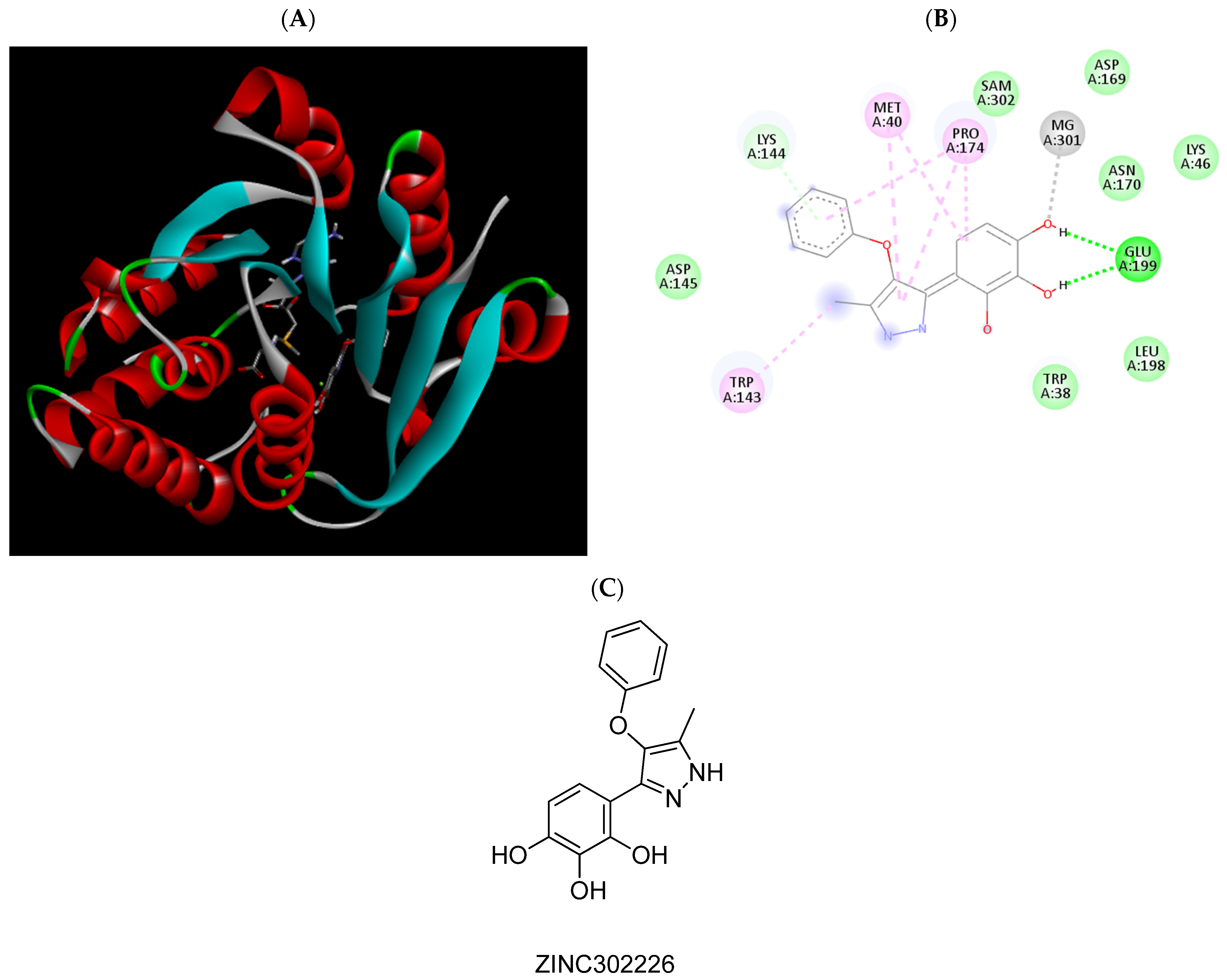 Pharmaceuticals 15 00051 g007 Pharmaceuticals 15 00051 g007