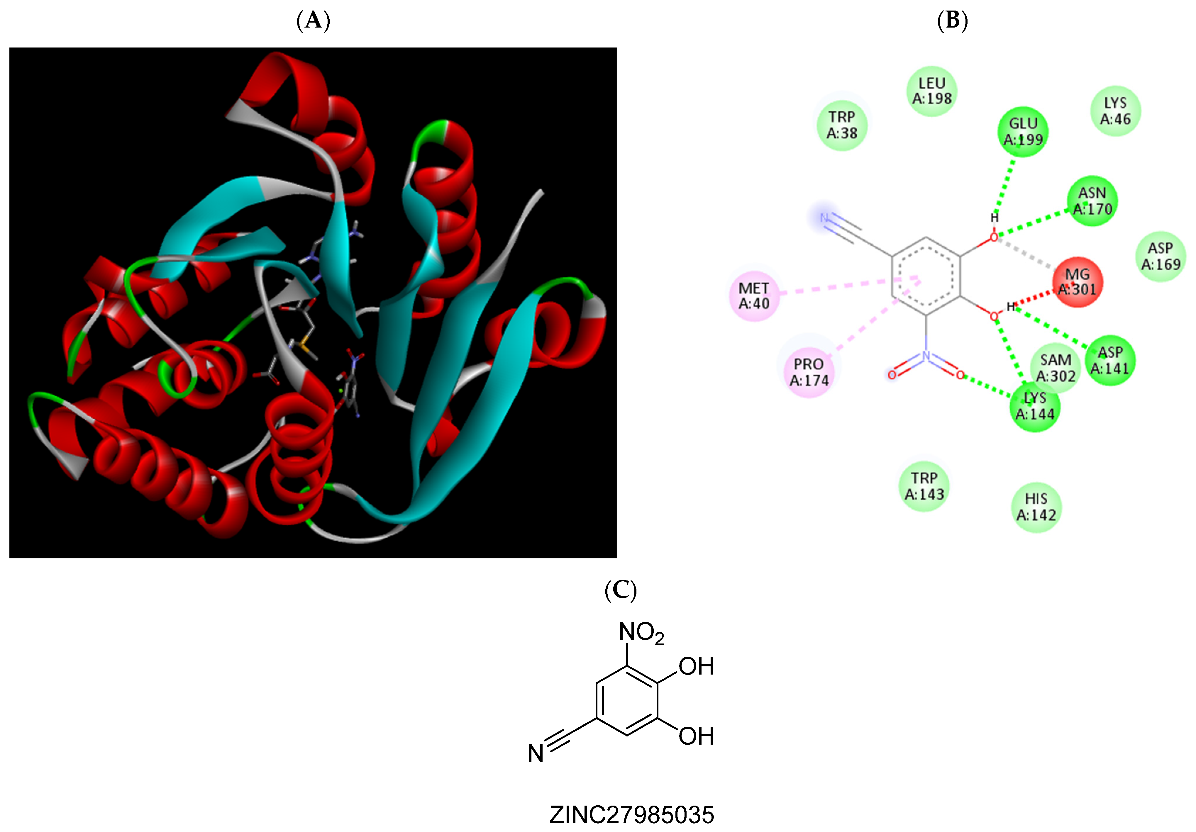 Pharmaceuticals 15 00051 g008 Pharmaceuticals 15 00051 g008