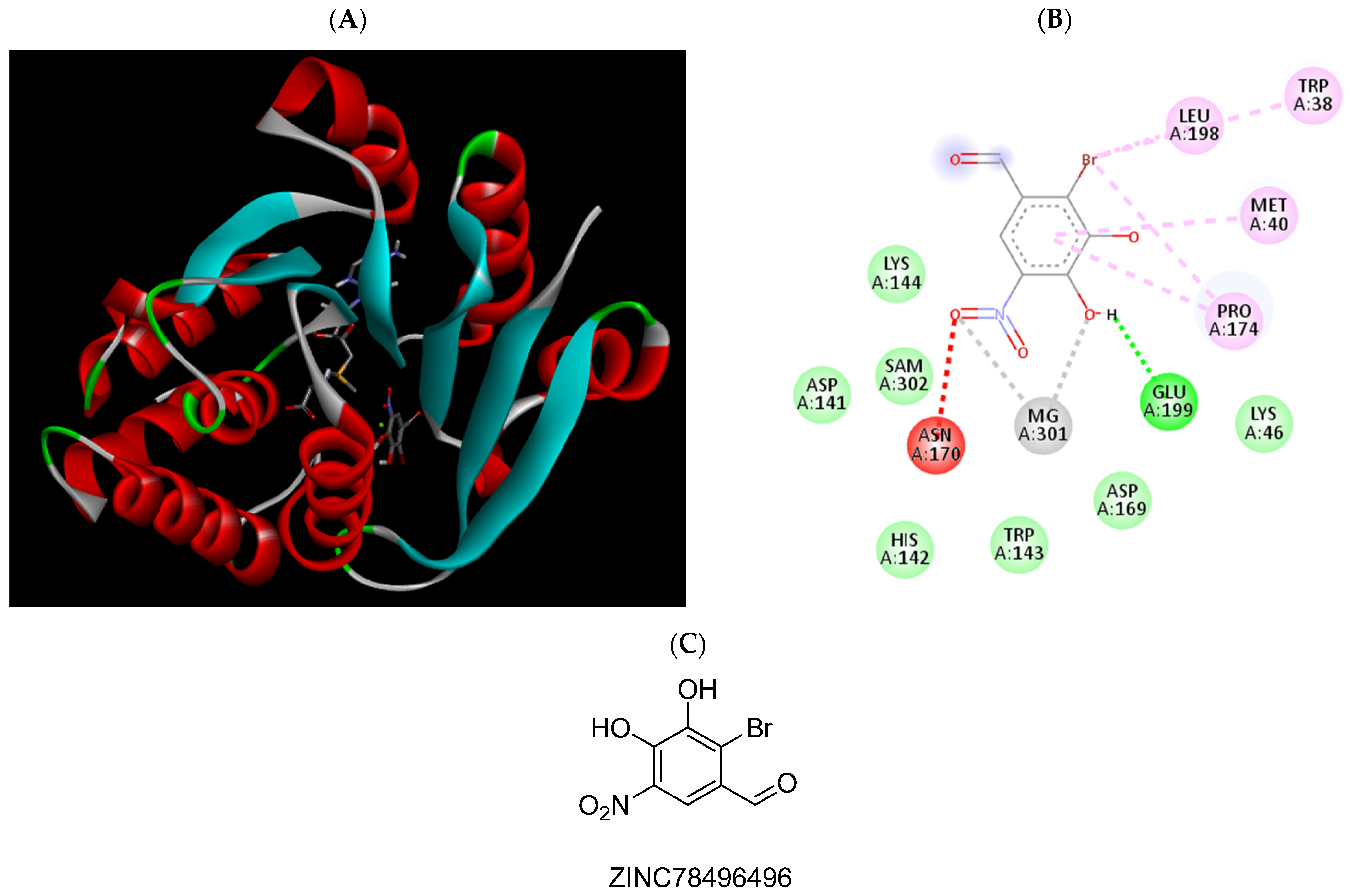 Pharmaceuticals 15 00051 g009 Pharmaceuticals 15 00051 g009