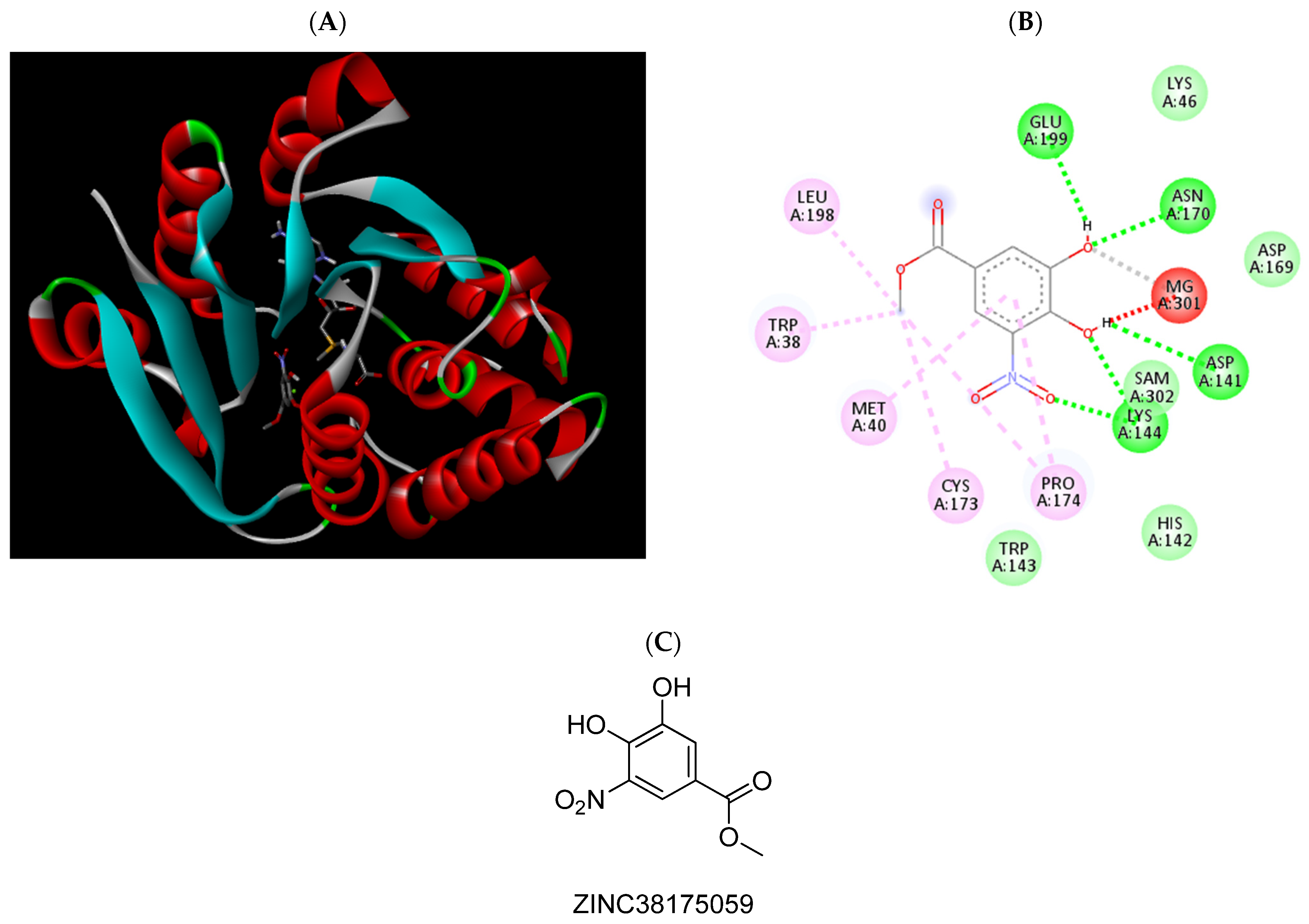 Pharmaceuticals 15 00051 g010 Pharmaceuticals 15 00051 g010