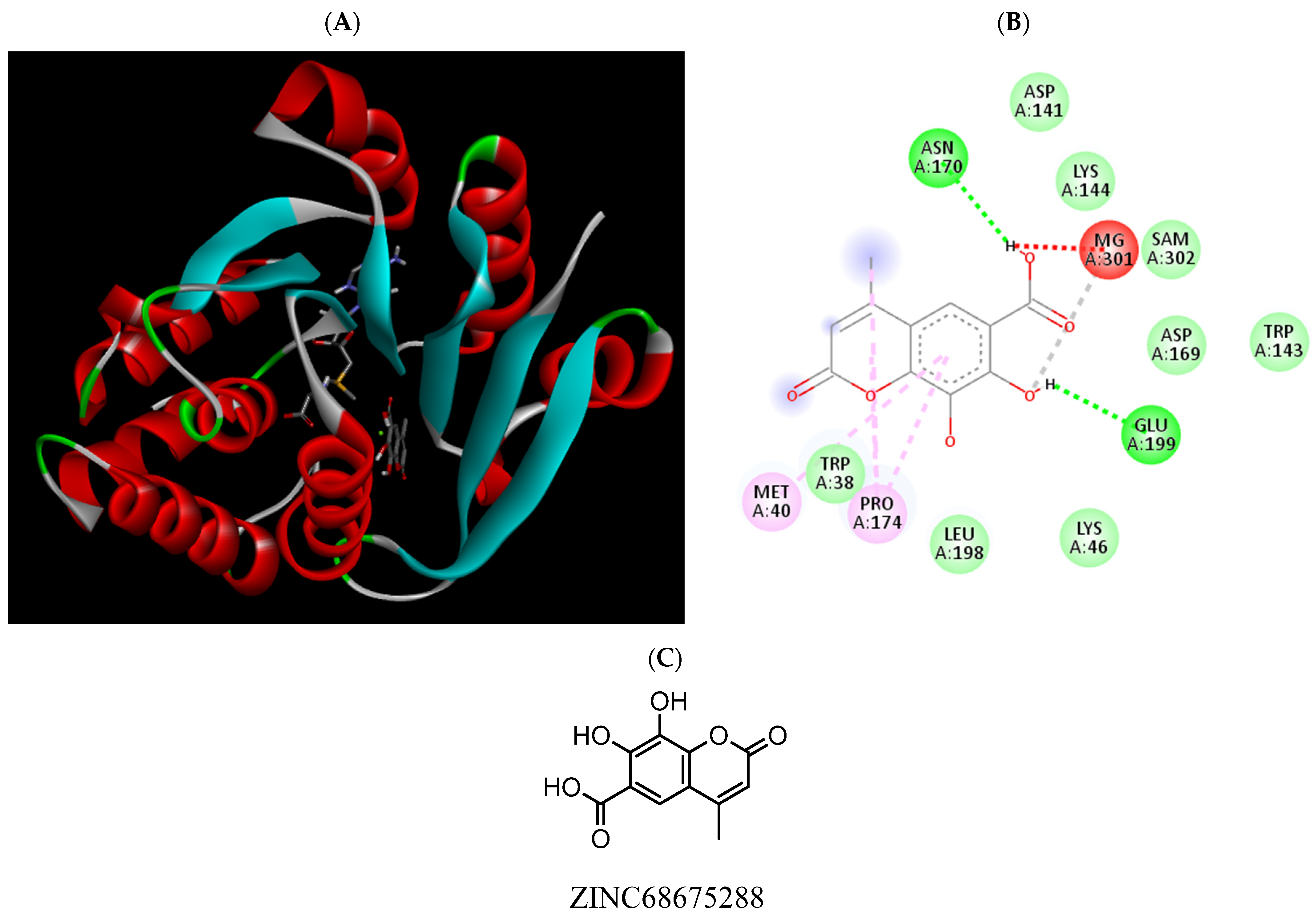 Pharmaceuticals 15 00051 g012 Pharmaceuticals 15 00051 g012