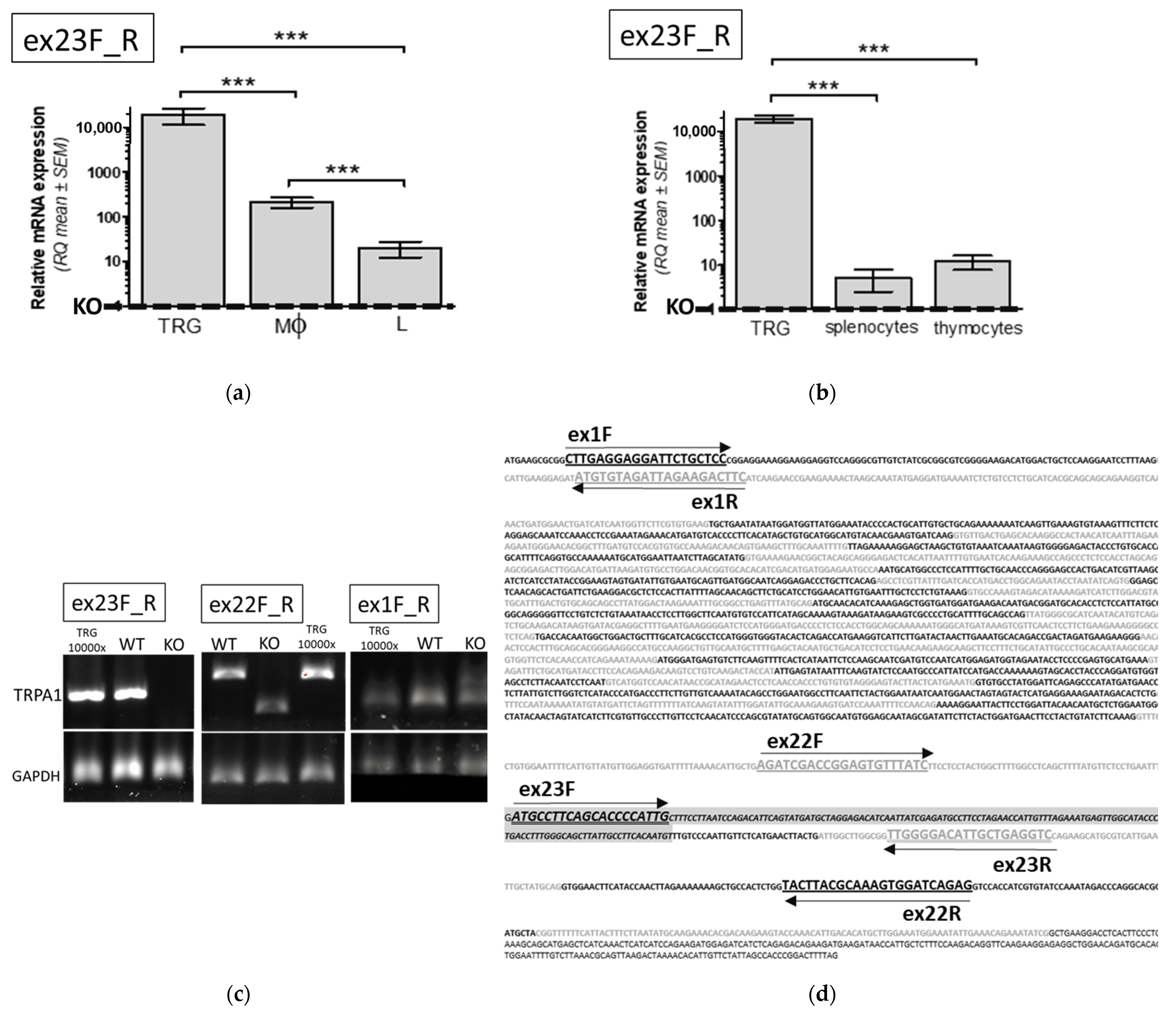 Pharmaceuticals 15 00057 g001