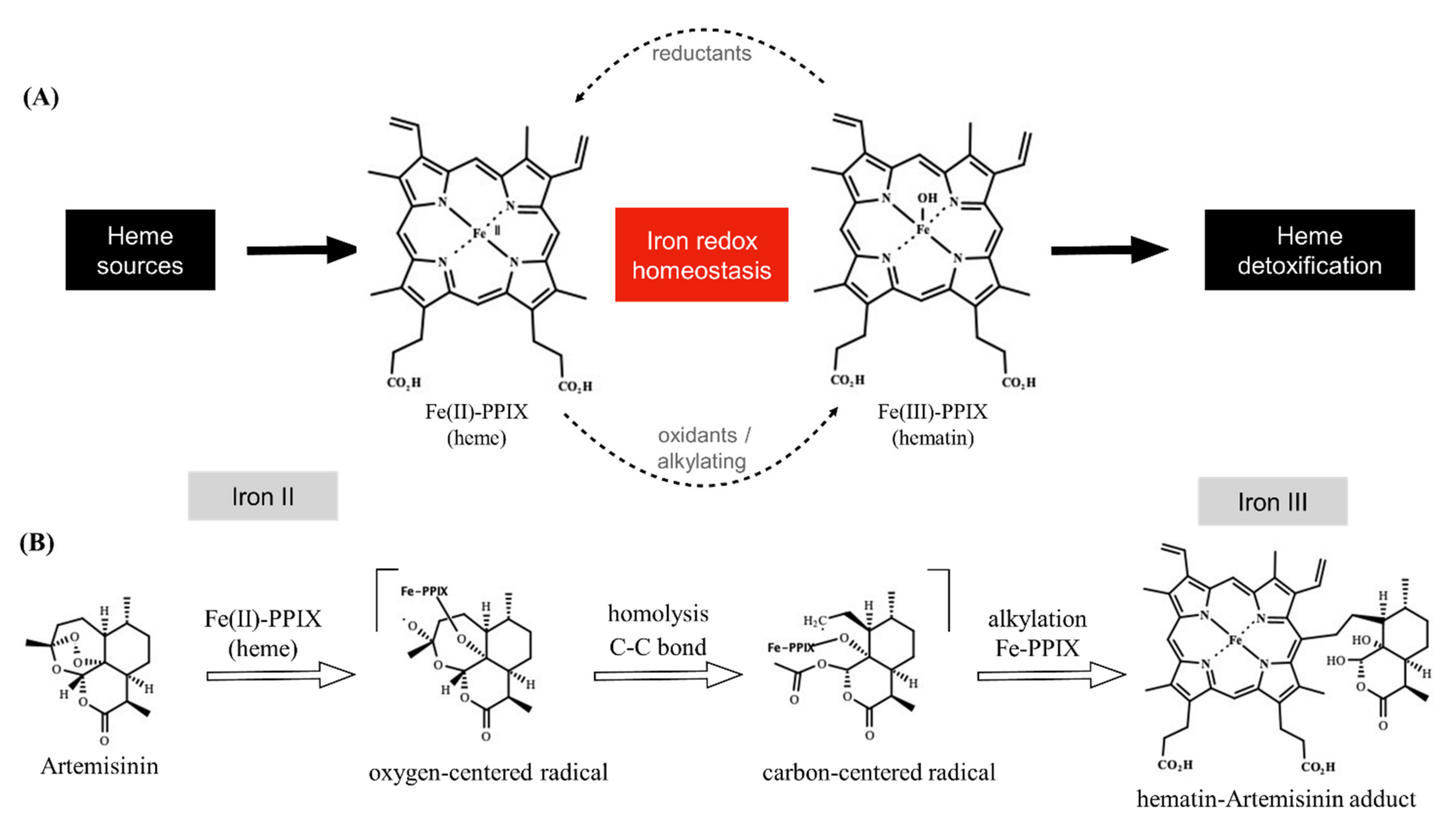 Pharmaceuticals 15 00060 g001 550