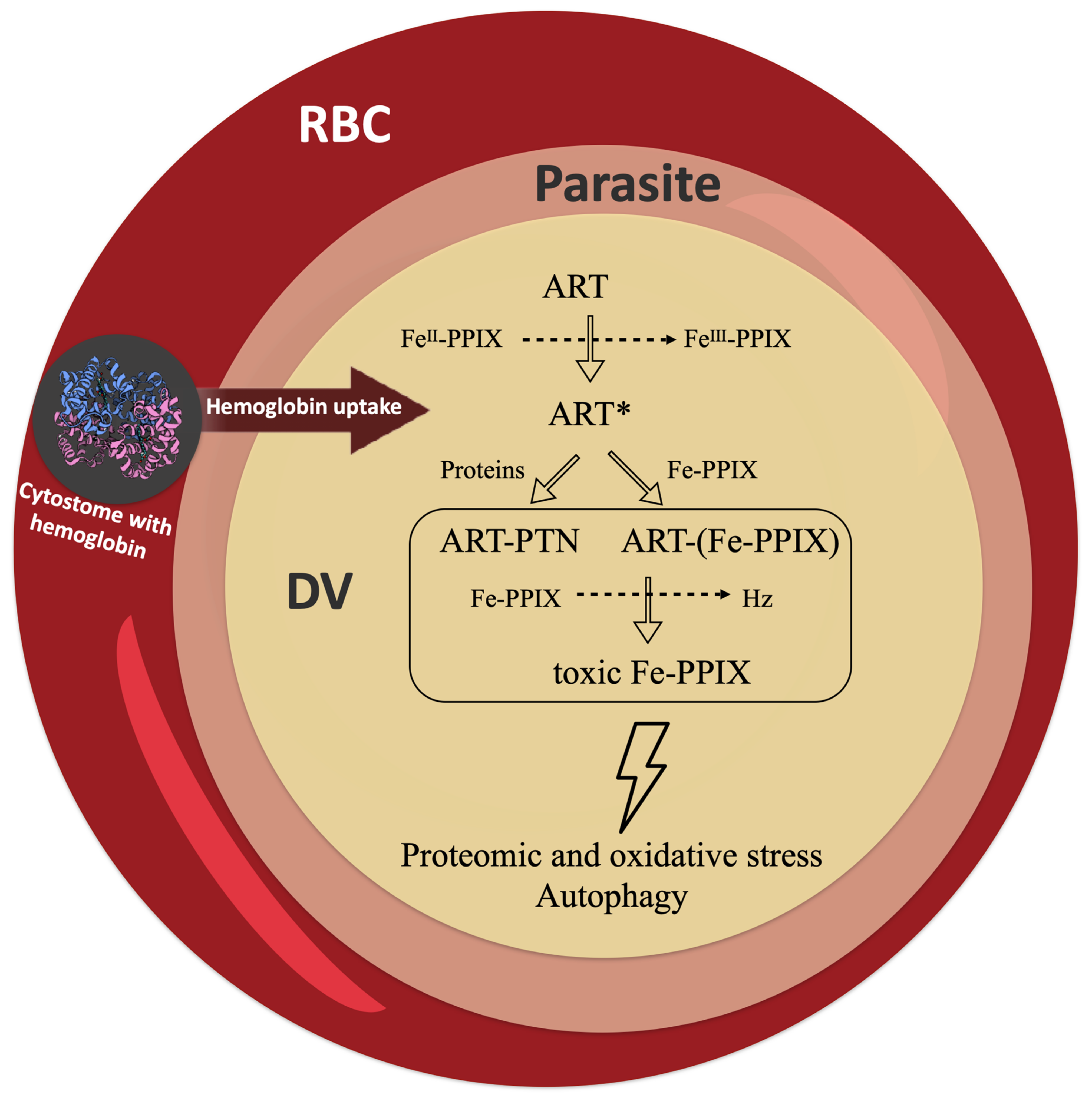 Pharmaceuticals 15 00060 g006 550