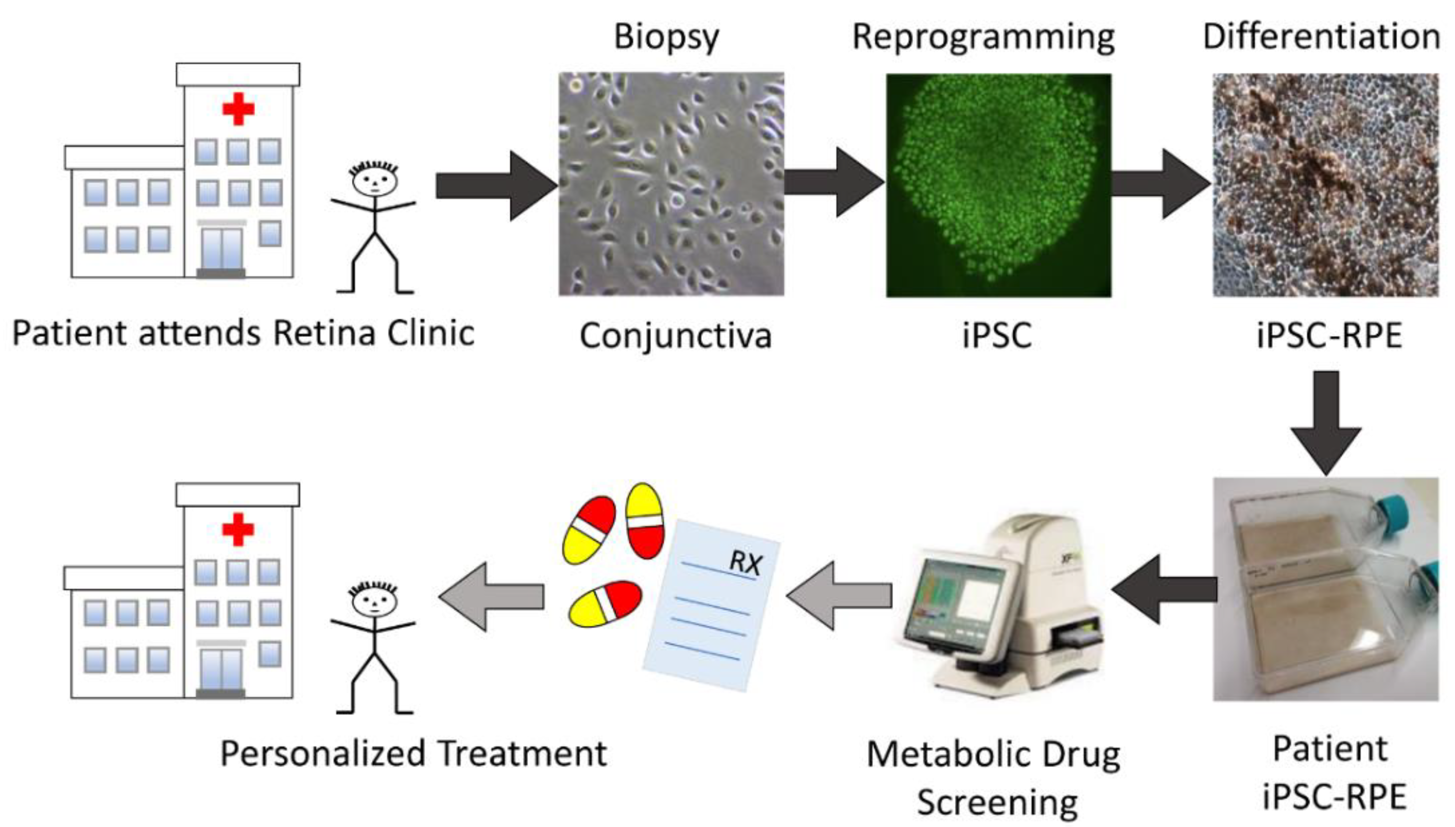 Pharmaceuticals 15 00062 g001 550