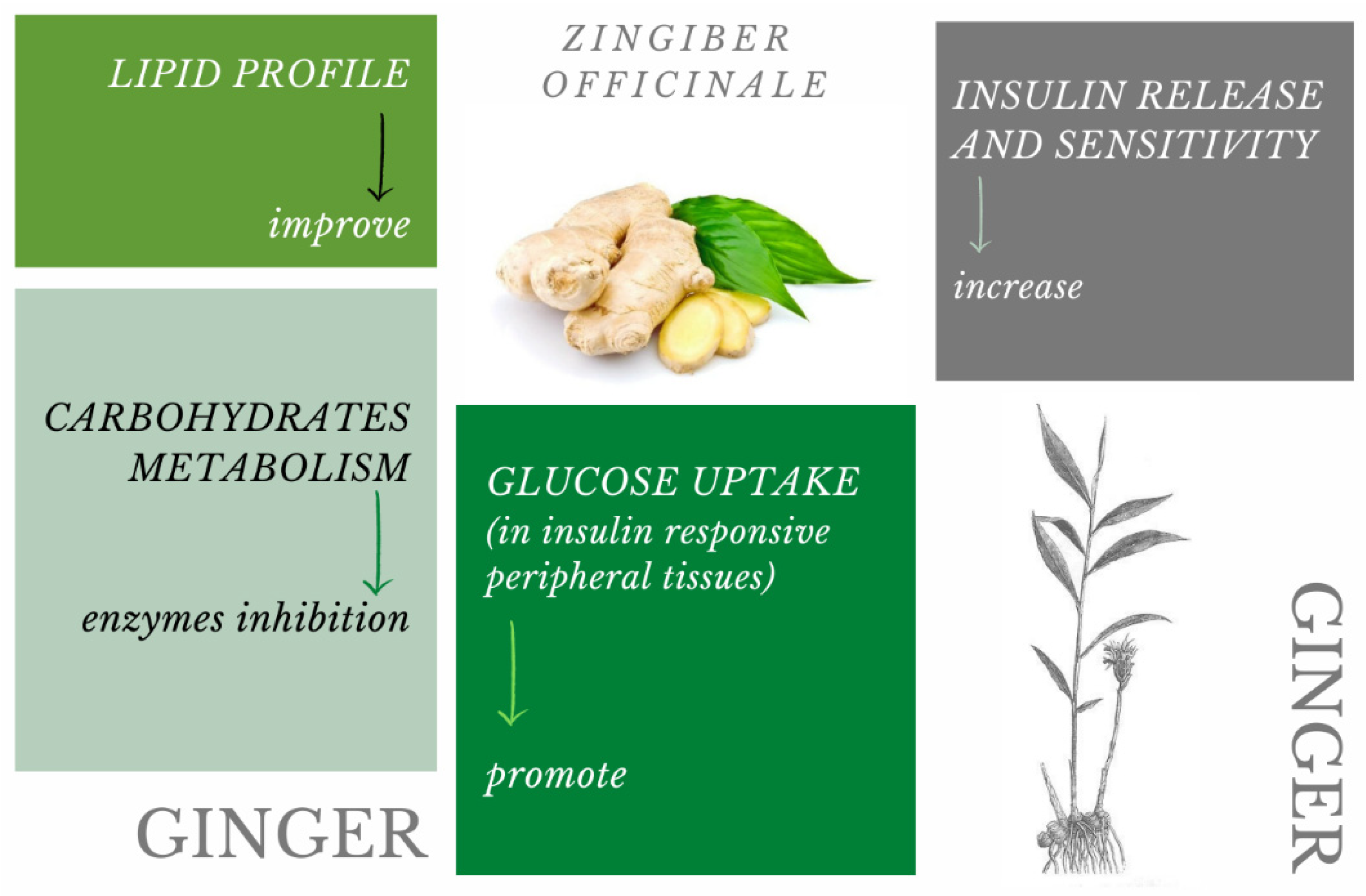 Pharmaceuticals 15 00065 g001 Pharmaceuticals 15 00065 g001