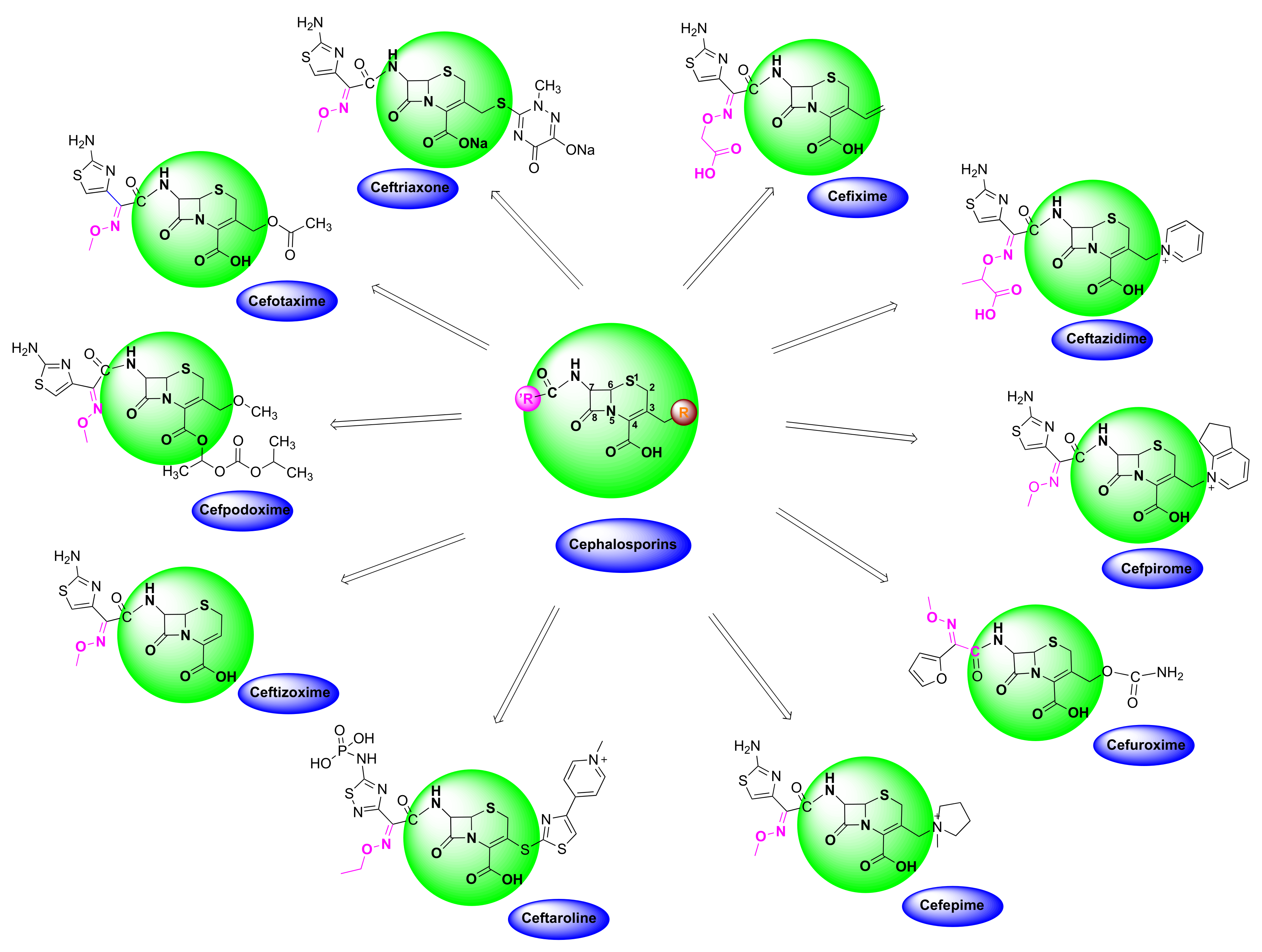 Pharmaceuticals 15 00066 g011