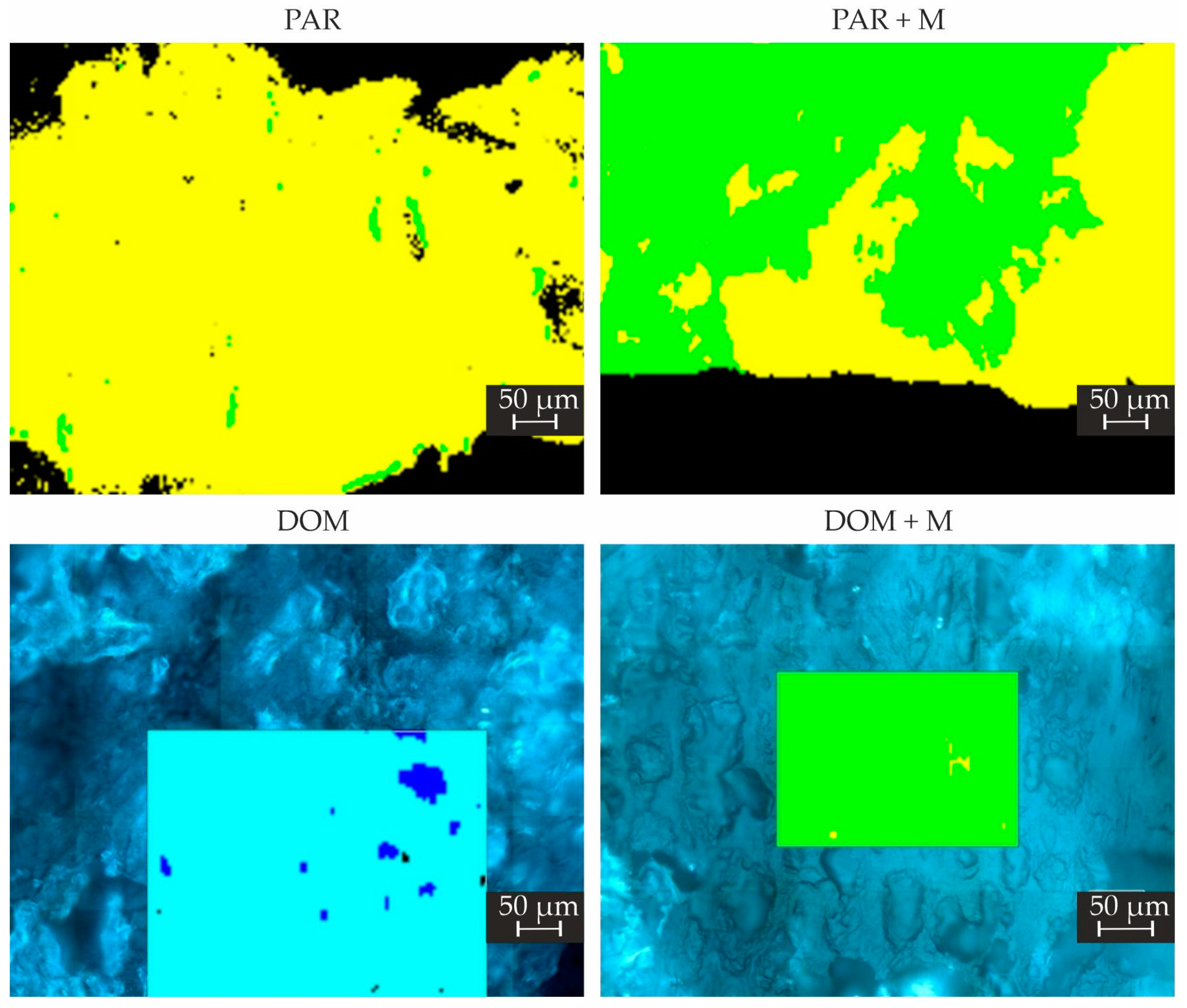 Pharmaceuticals 15 00069 g009 550