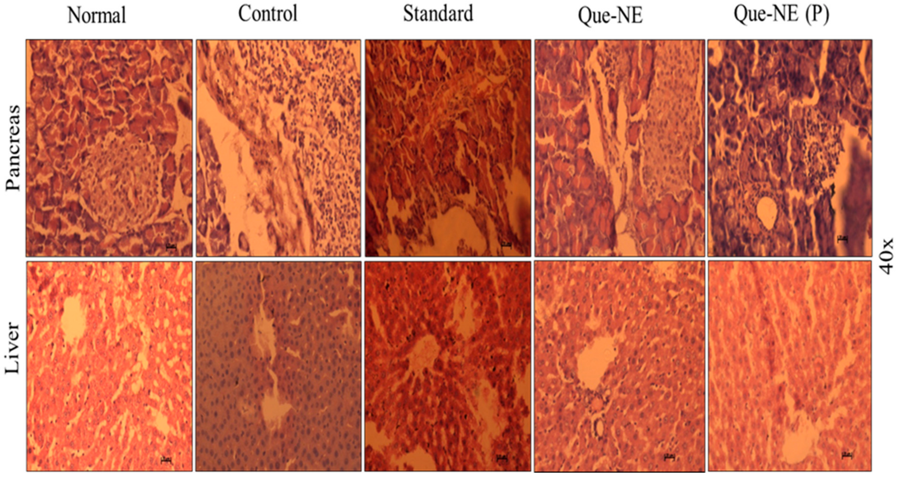 Pharmaceuticals 15 00070 g011 Pharmaceuticals 15 00070 g011