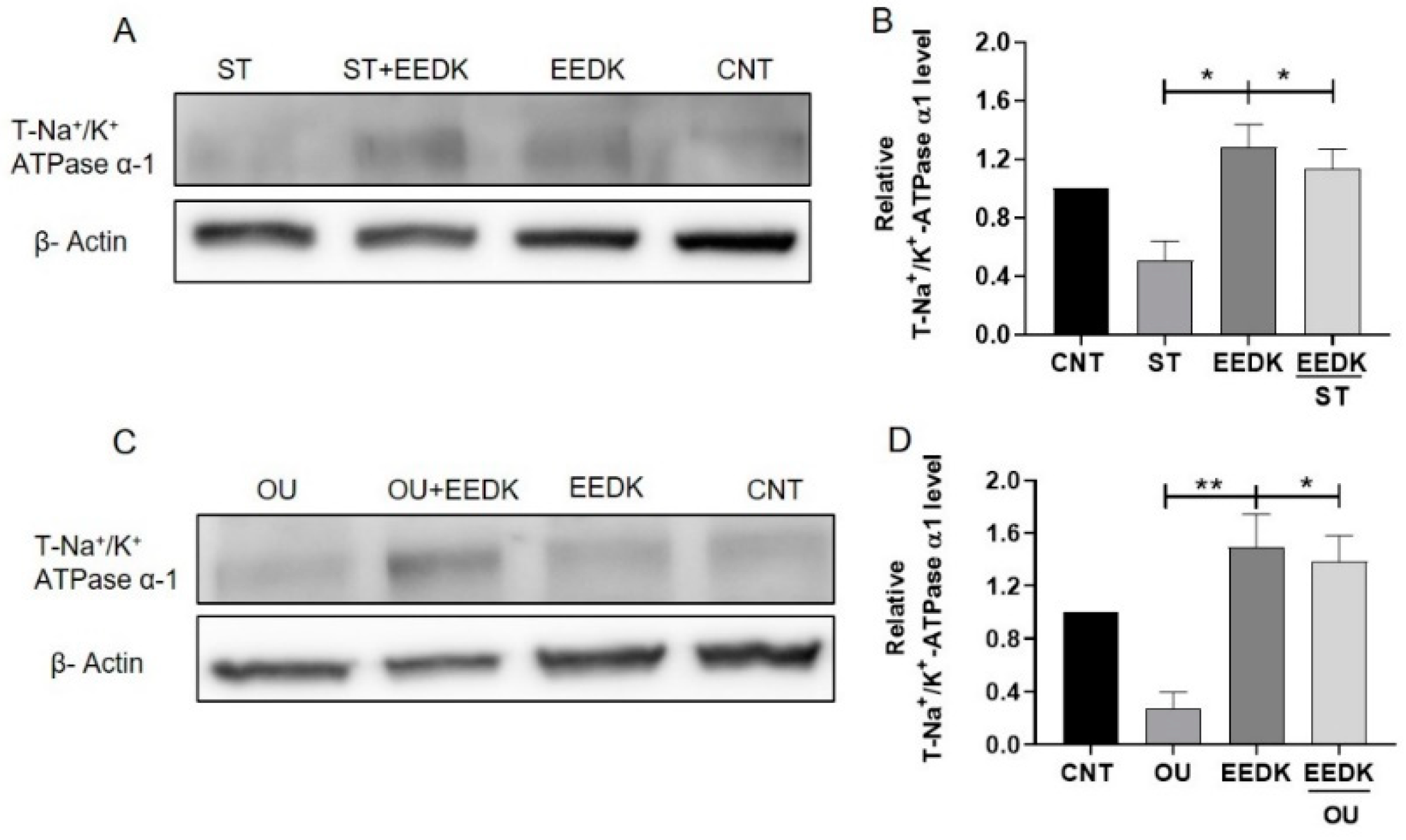 Pharmaceuticals 15 00072 g004 Pharmaceuticals 15 00072 g004
