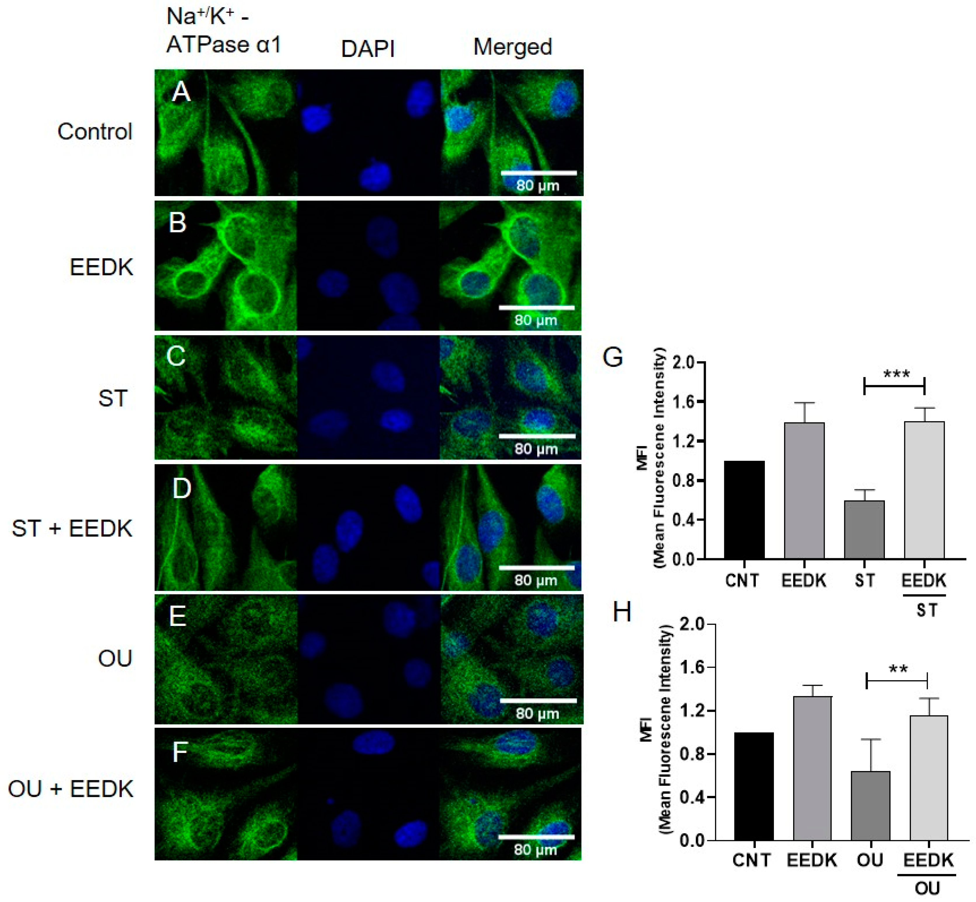 Pharmaceuticals 15 00072 g005 Pharmaceuticals 15 00072 g005