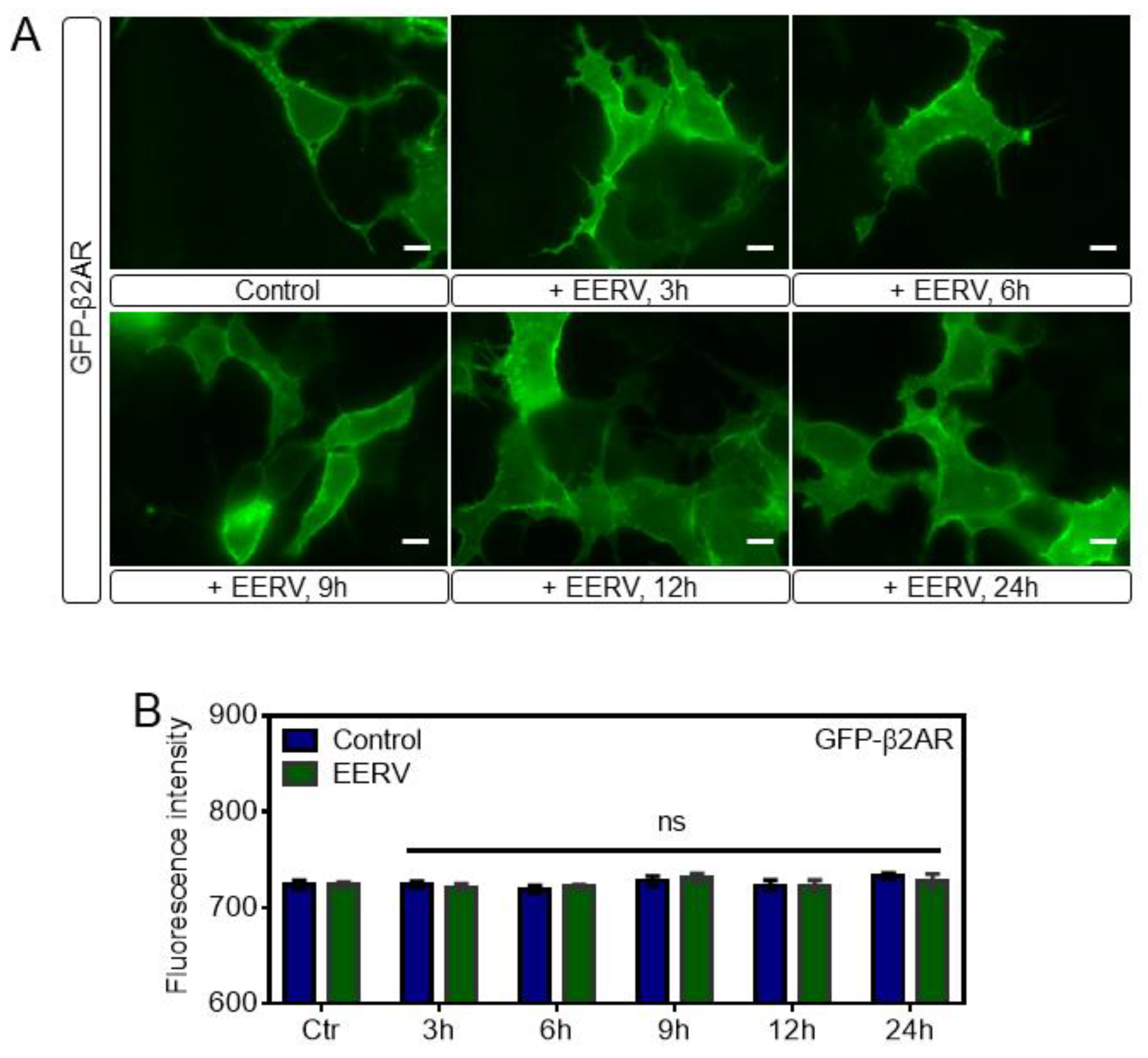 Pharmaceuticals 15 00073 g007 Pharmaceuticals 15 00073 g007