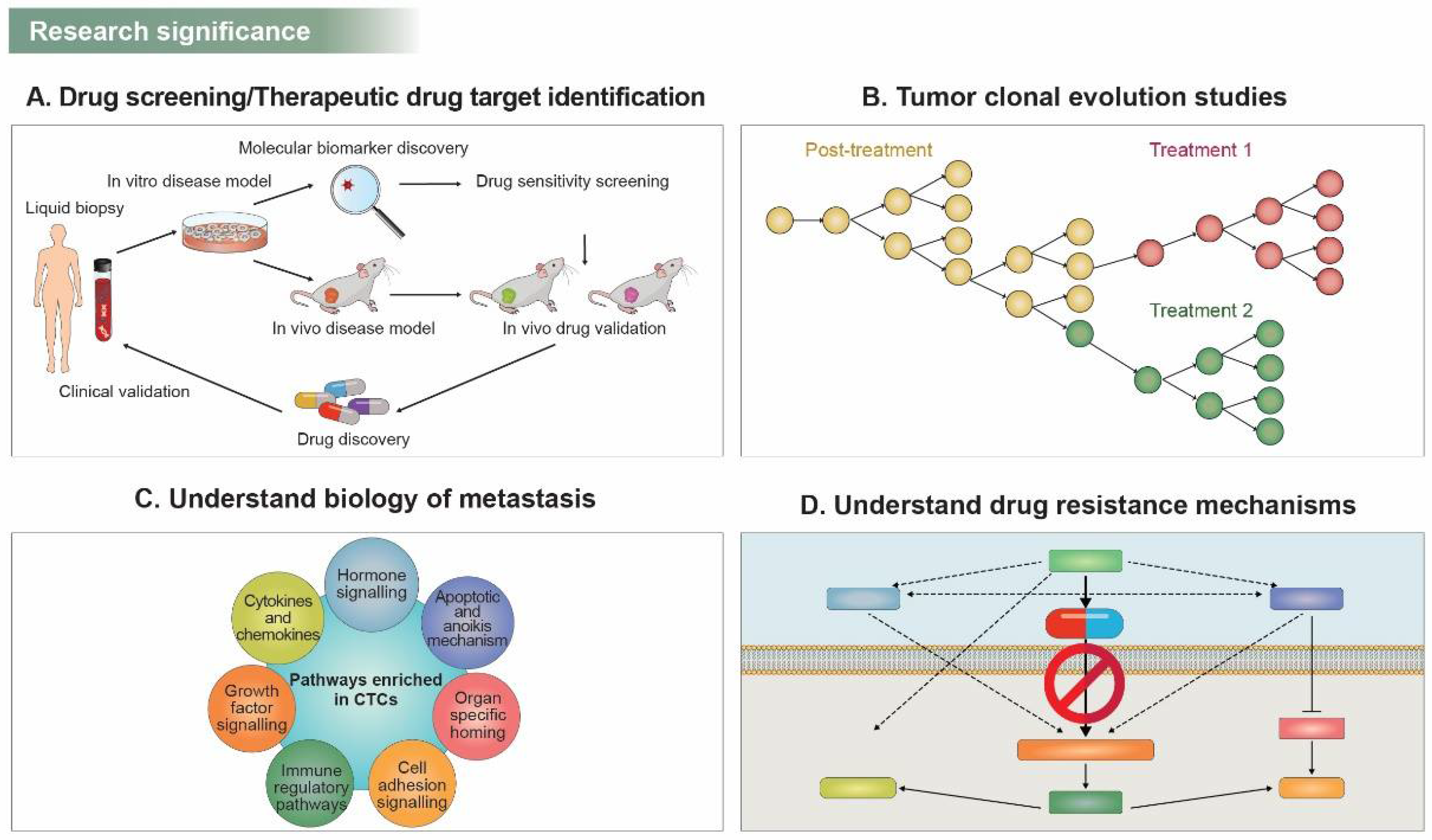 Pharmaceuticals 15 00075 g002