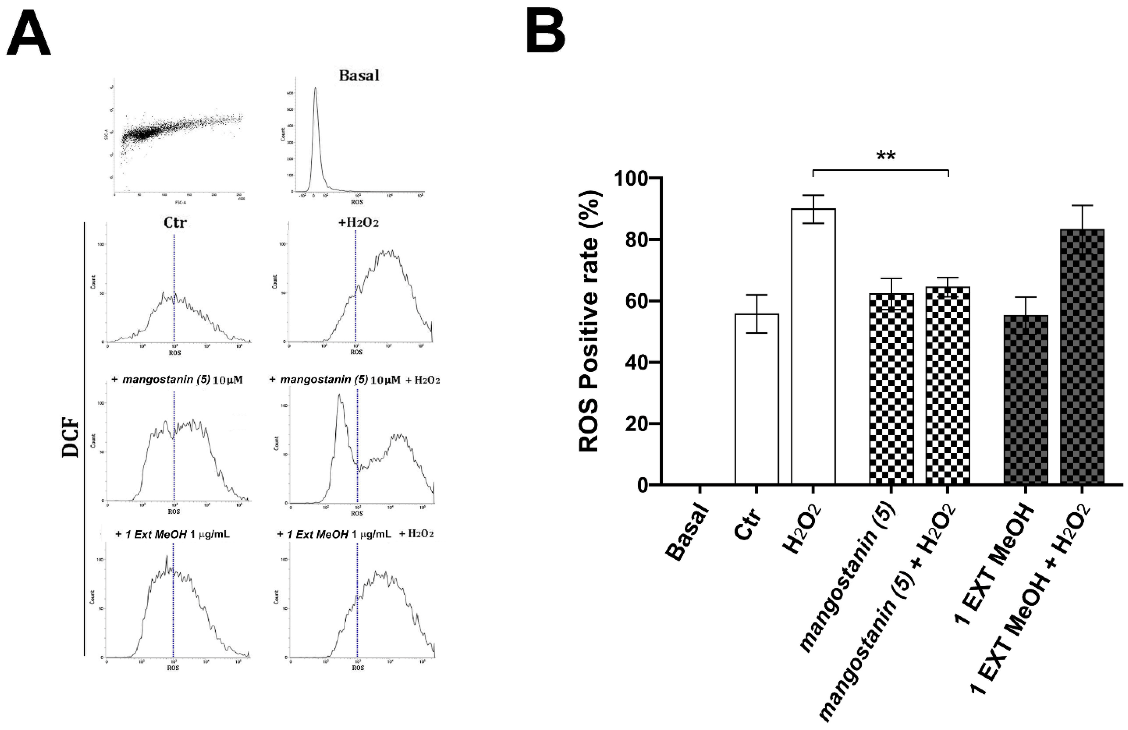 Pharmaceuticals 15 00084 g005 Pharmaceuticals 15 00084 g005