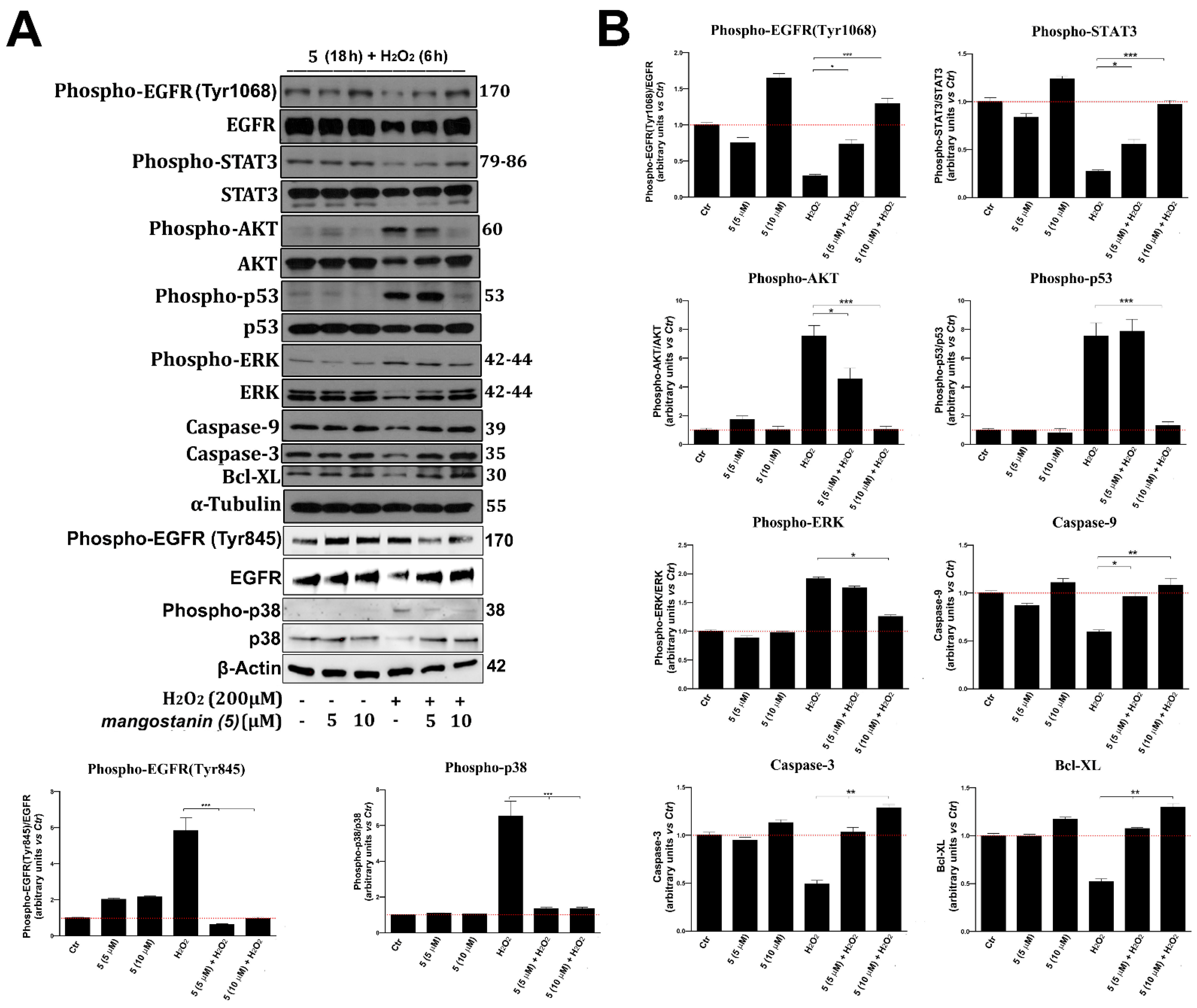 Pharmaceuticals 15 00084 g006 Pharmaceuticals 15 00084 g006