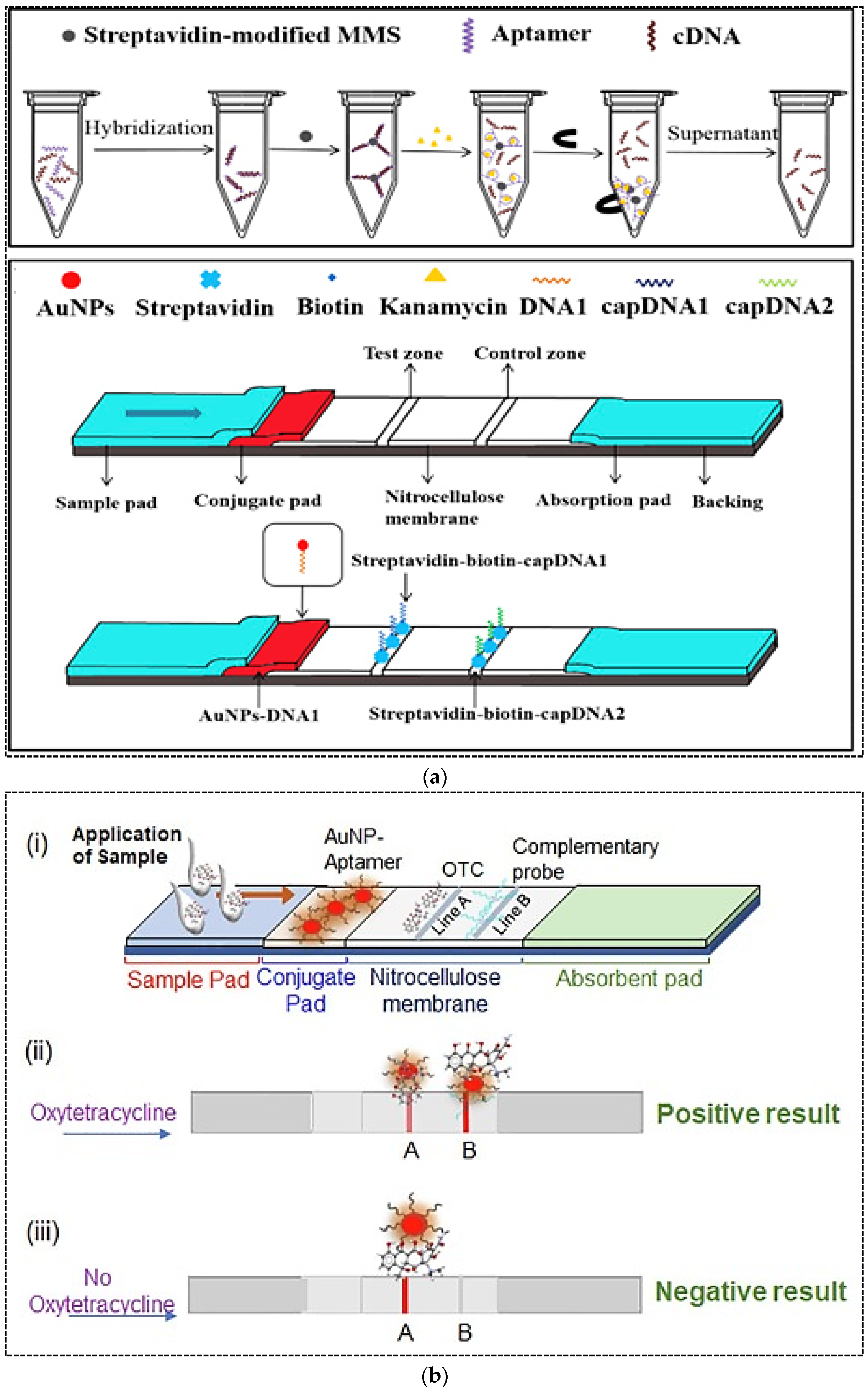 Battery Operated Preconcentration-assisted Lateral Flow Assay Aptamer-Based Lateral Flow Assays: Current Trends in Clinical
