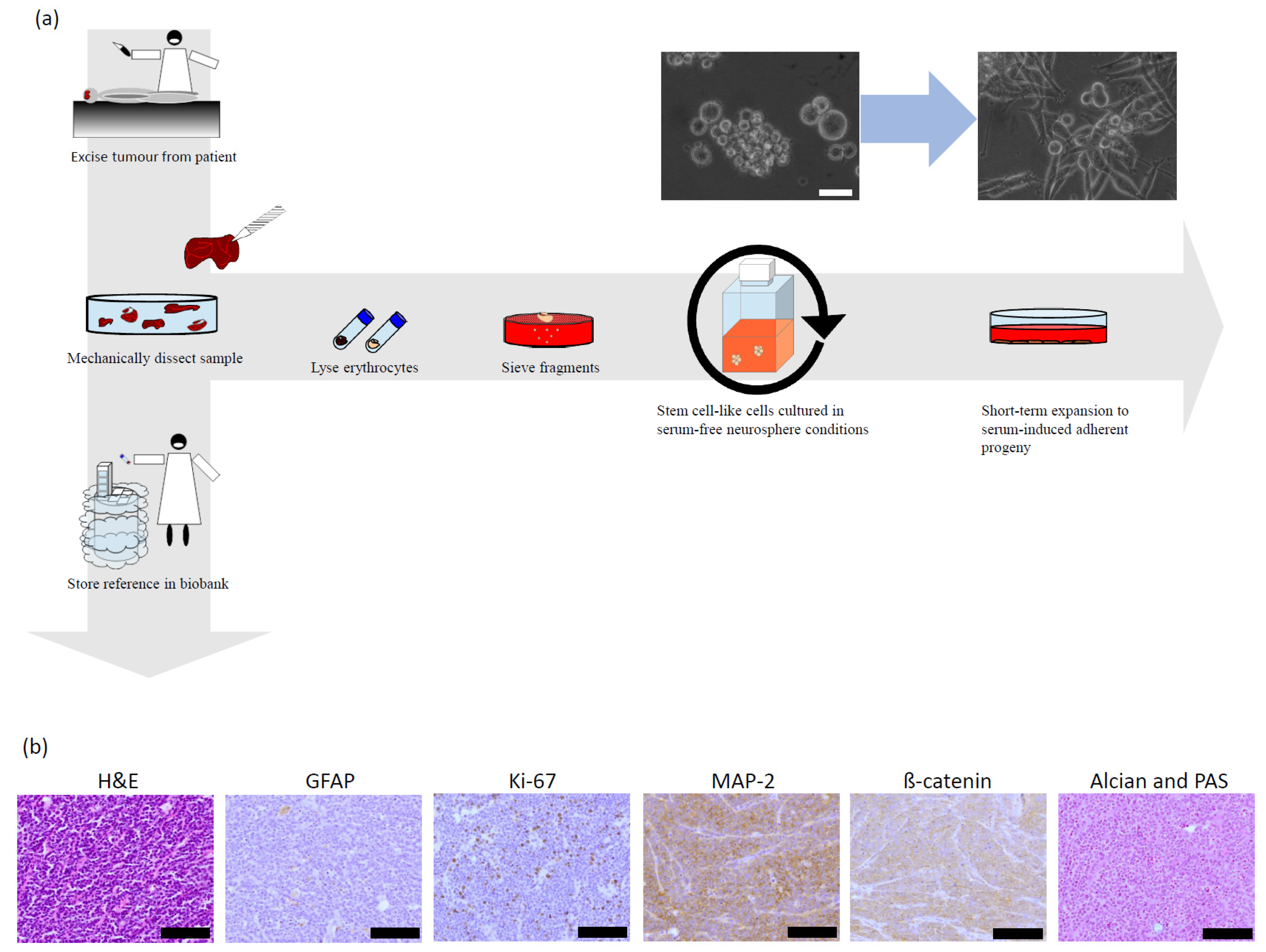 Pharmaceuticals 15 00091 g003a