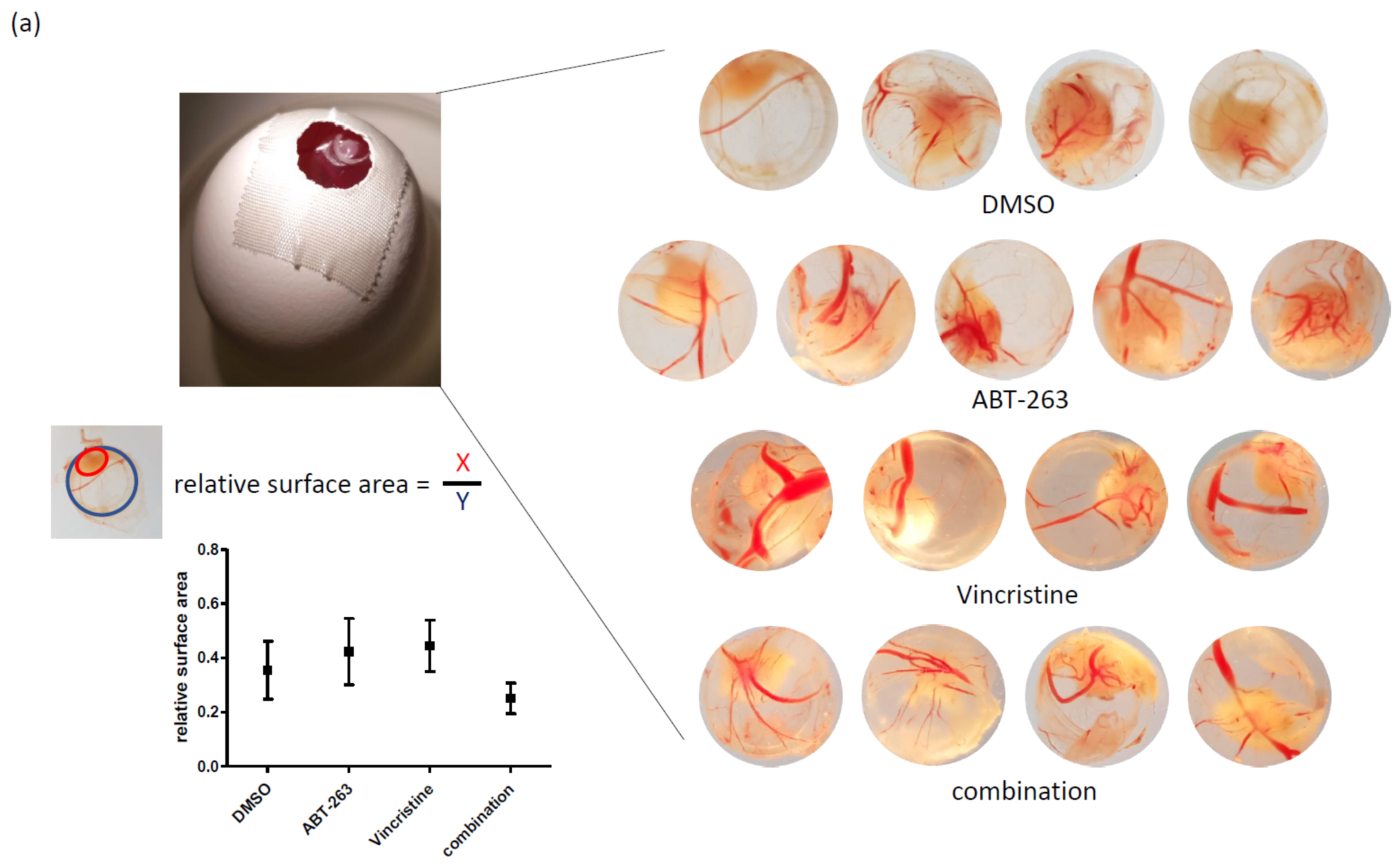 Pharmaceuticals 15 00091 g005a