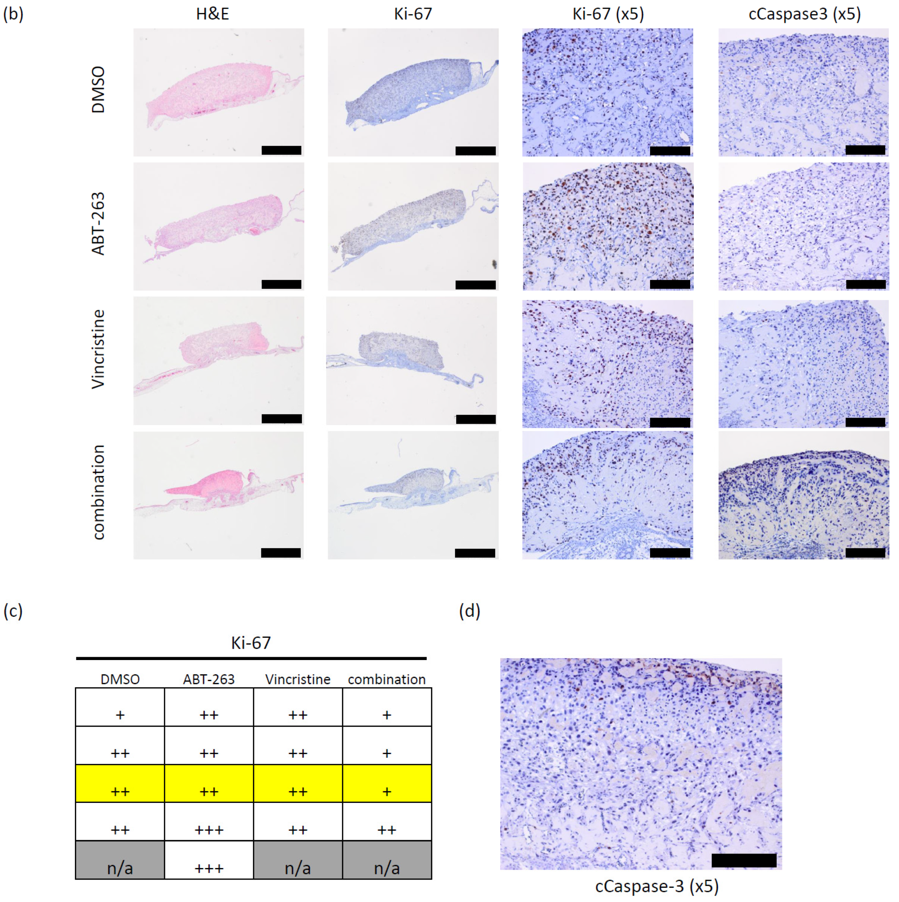 Pharmaceuticals 15 00091 g005b