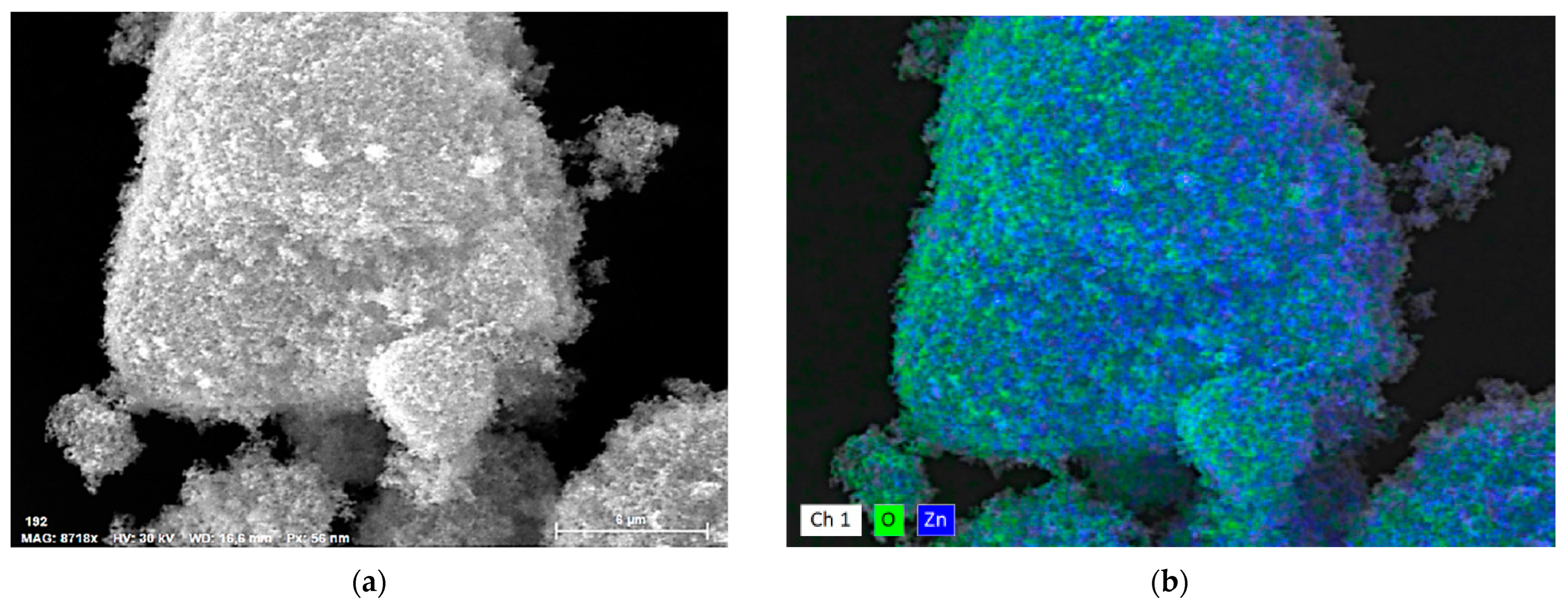 Pharmaceuticals 15 00097 g003a 550