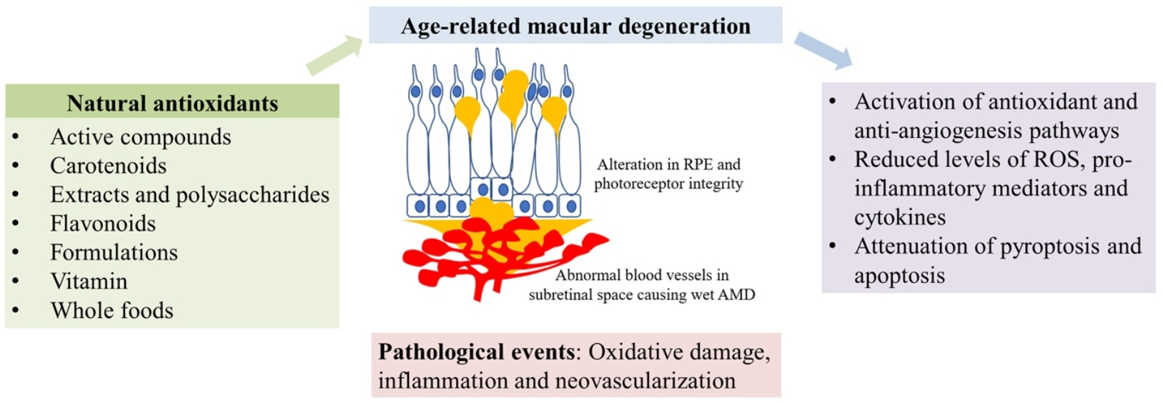 Blue Light Therapy Macular Degeneration Shelly Lighting